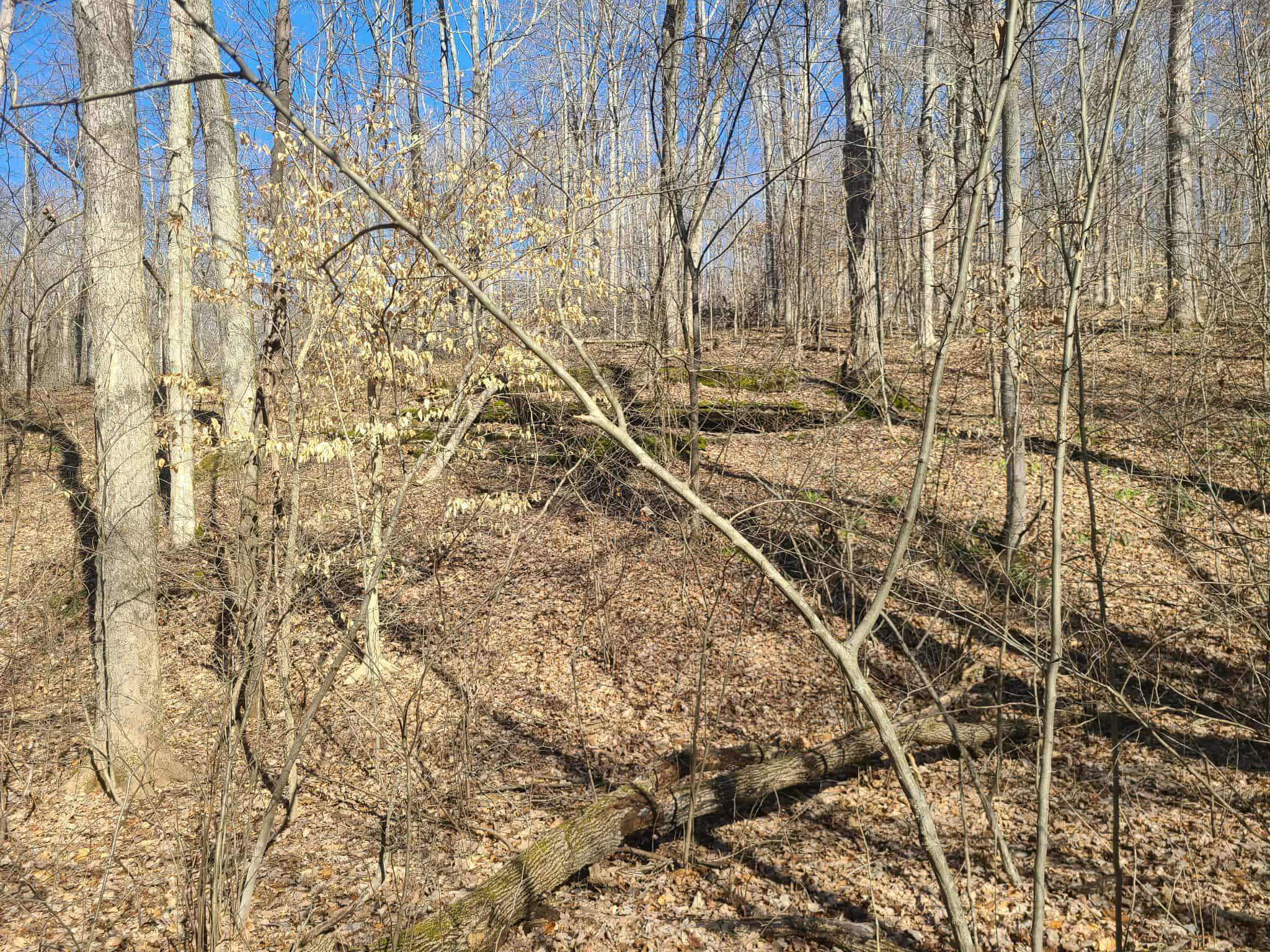 Lot R19 Coppersmith Cove, Eddyville, Kentucky 42038, ,Land,For Sale,Coppersmith Cove,93229