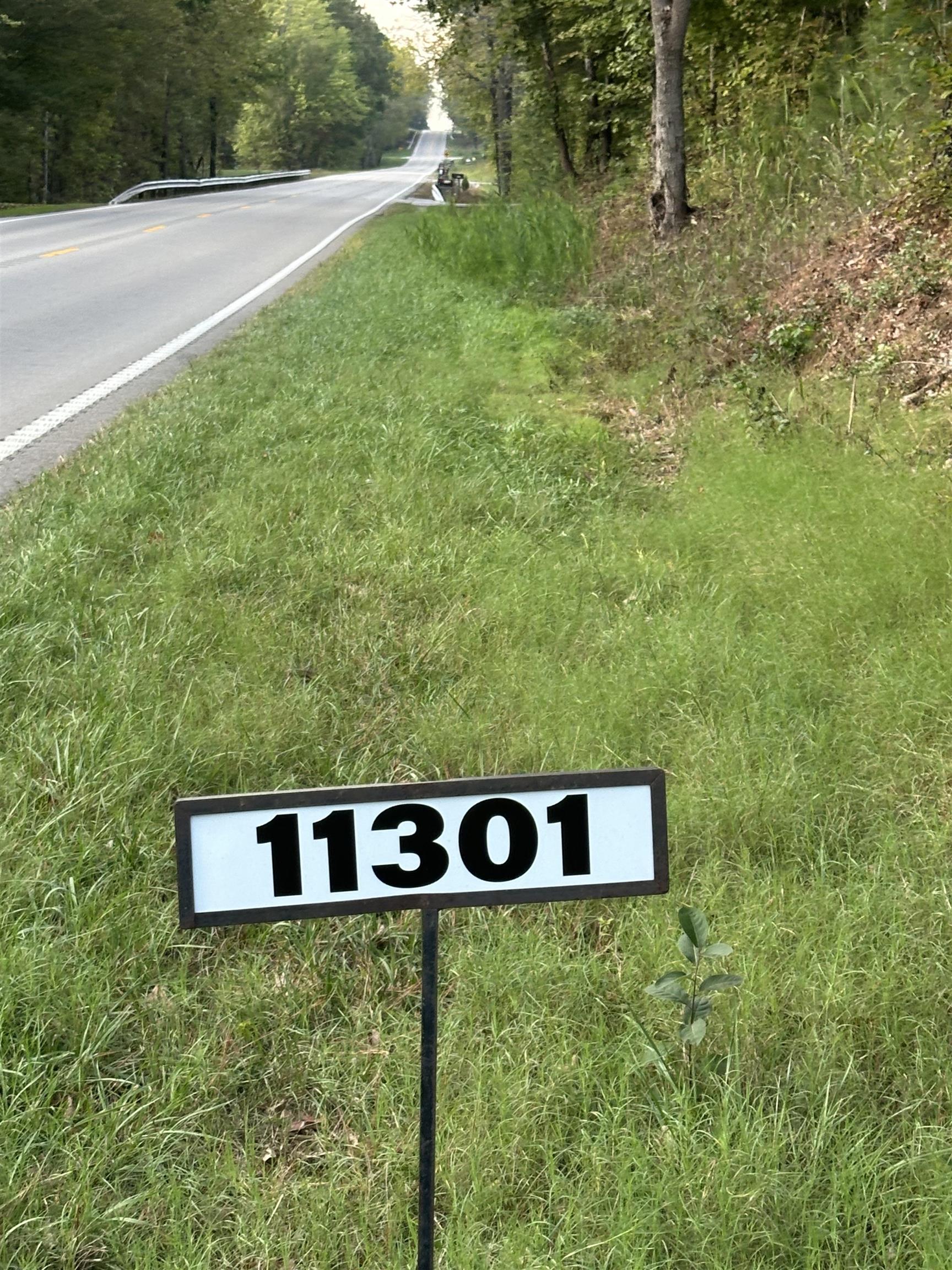 11301 Highway 231, Utica, Kentucky 42376, ,Land,For Sale,Highway 231,93310