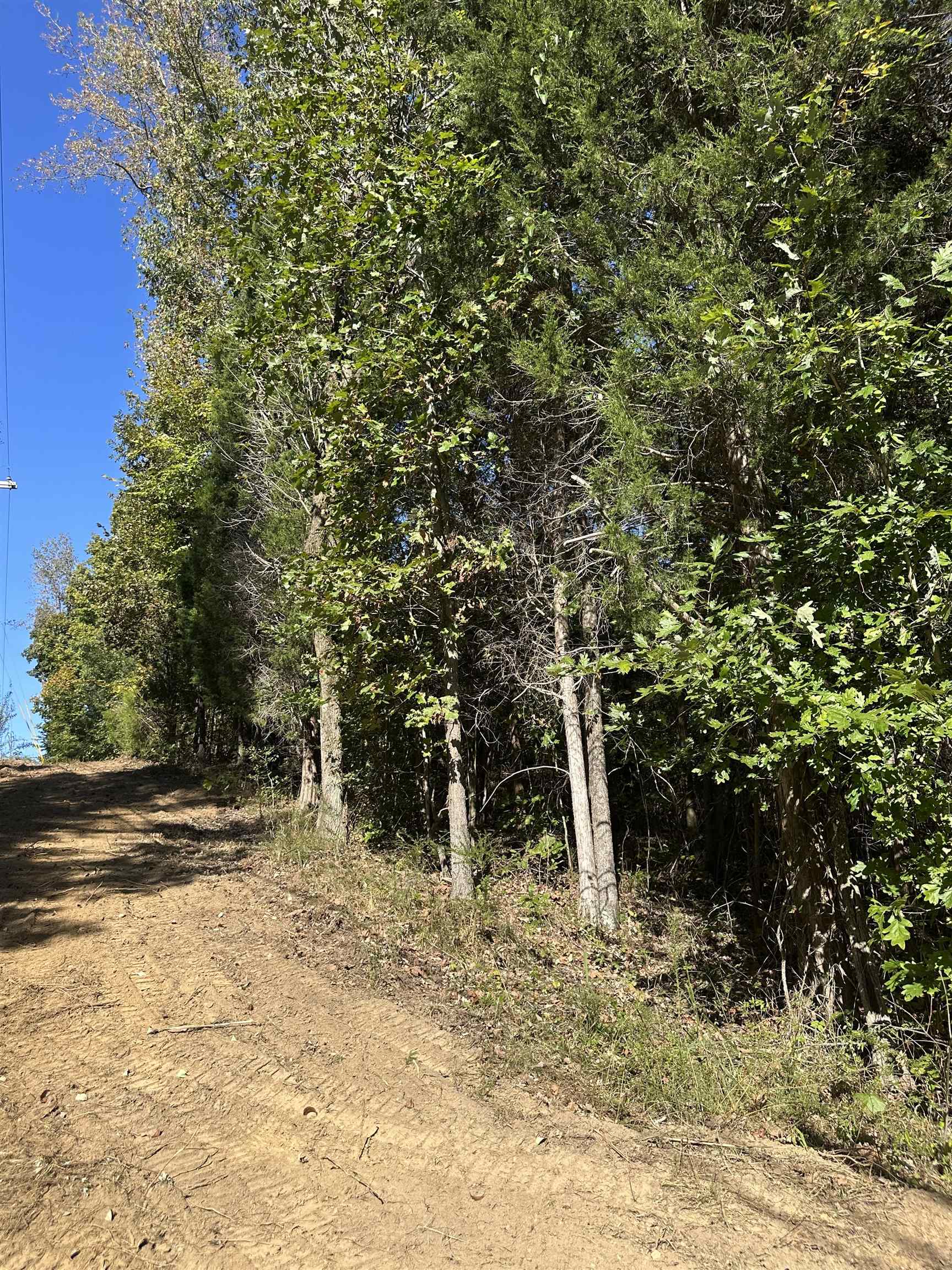 11301 Highway 231, Utica, Kentucky 42376, ,Land,For Sale,Highway 231,93310