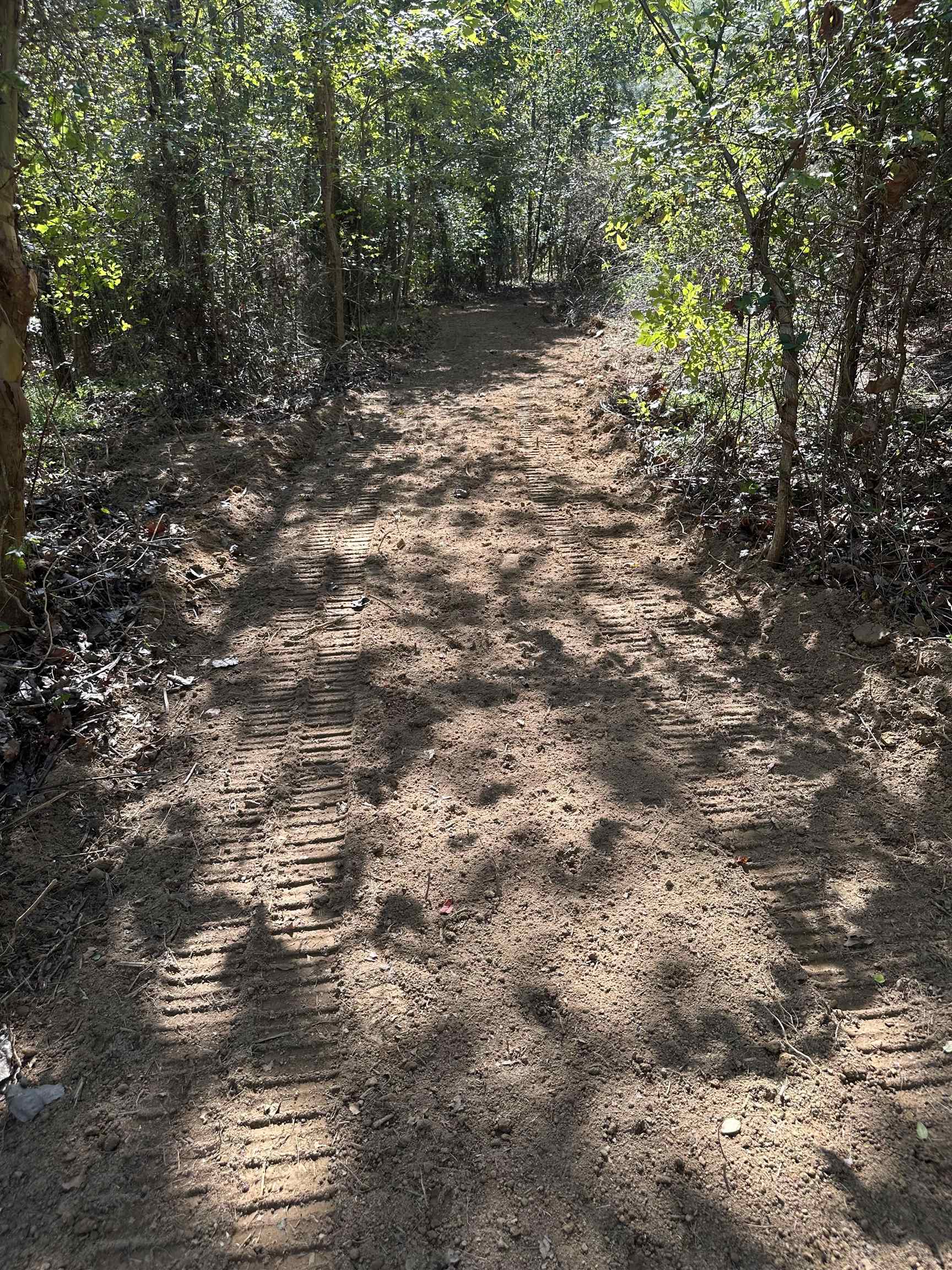 11301 Highway 231, Utica, Kentucky 42376, ,Land,For Sale,Highway 231,93310