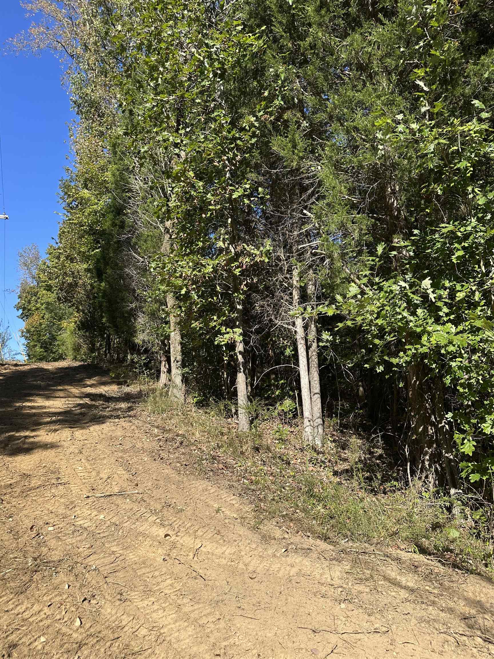 11301 Highway 231, Utica, Kentucky 42376, ,Land,For Sale,Highway 231,93310