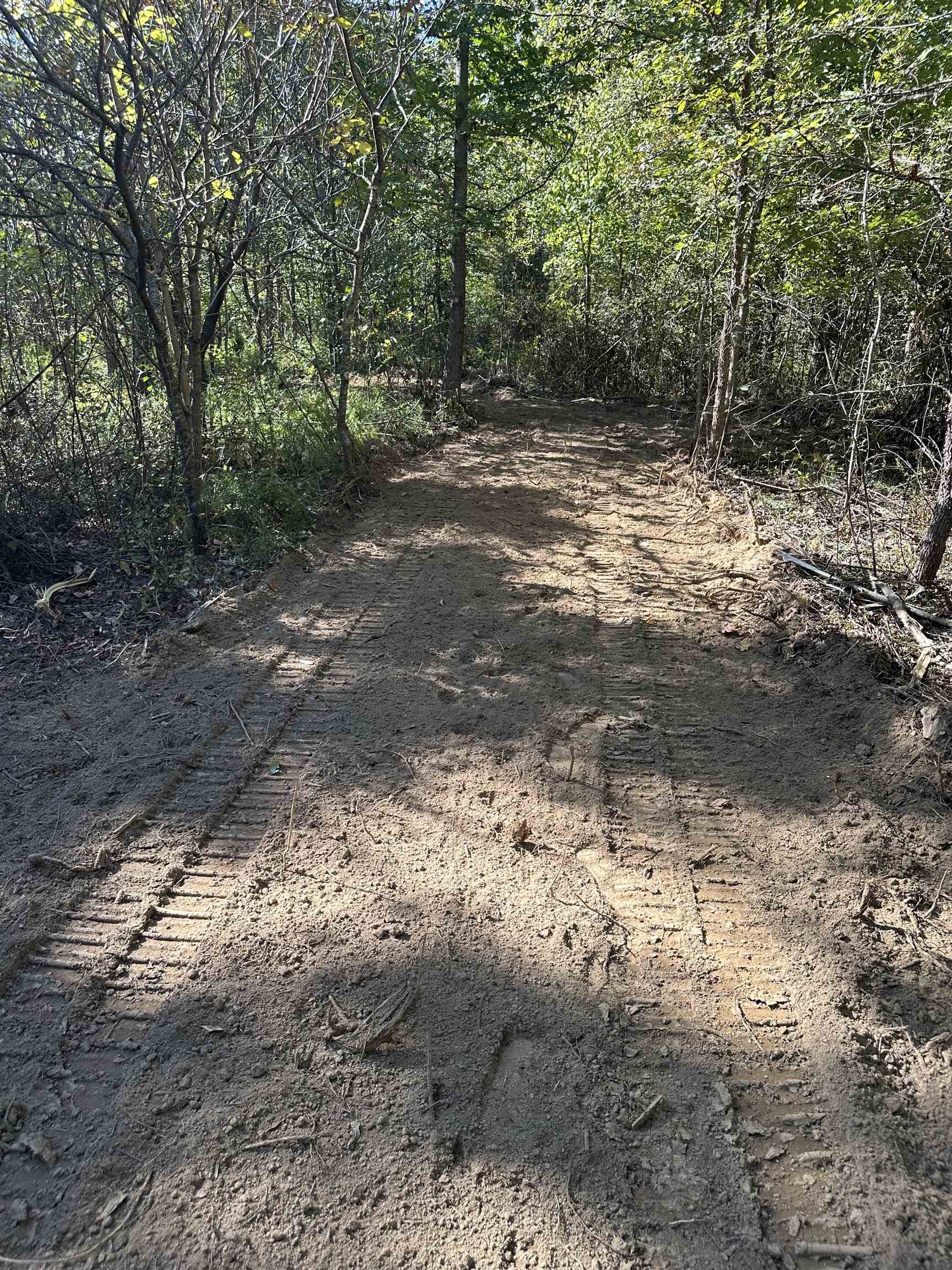 11301 Highway 231, Utica, Kentucky 42376, ,Land,For Sale,Highway 231,93310