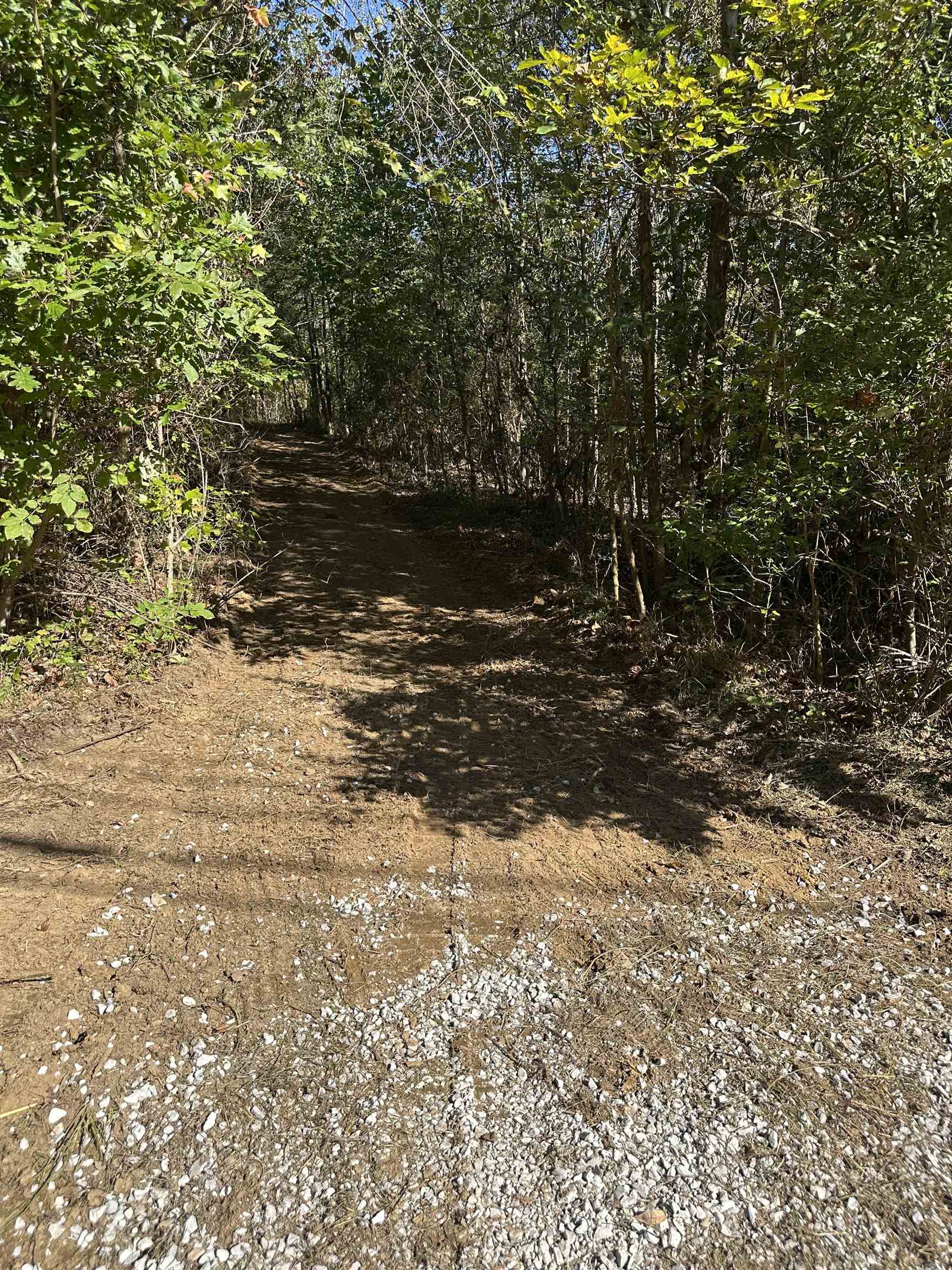 11301 Highway 231, Utica, Kentucky 42376, ,Land,For Sale,Highway 231,93310