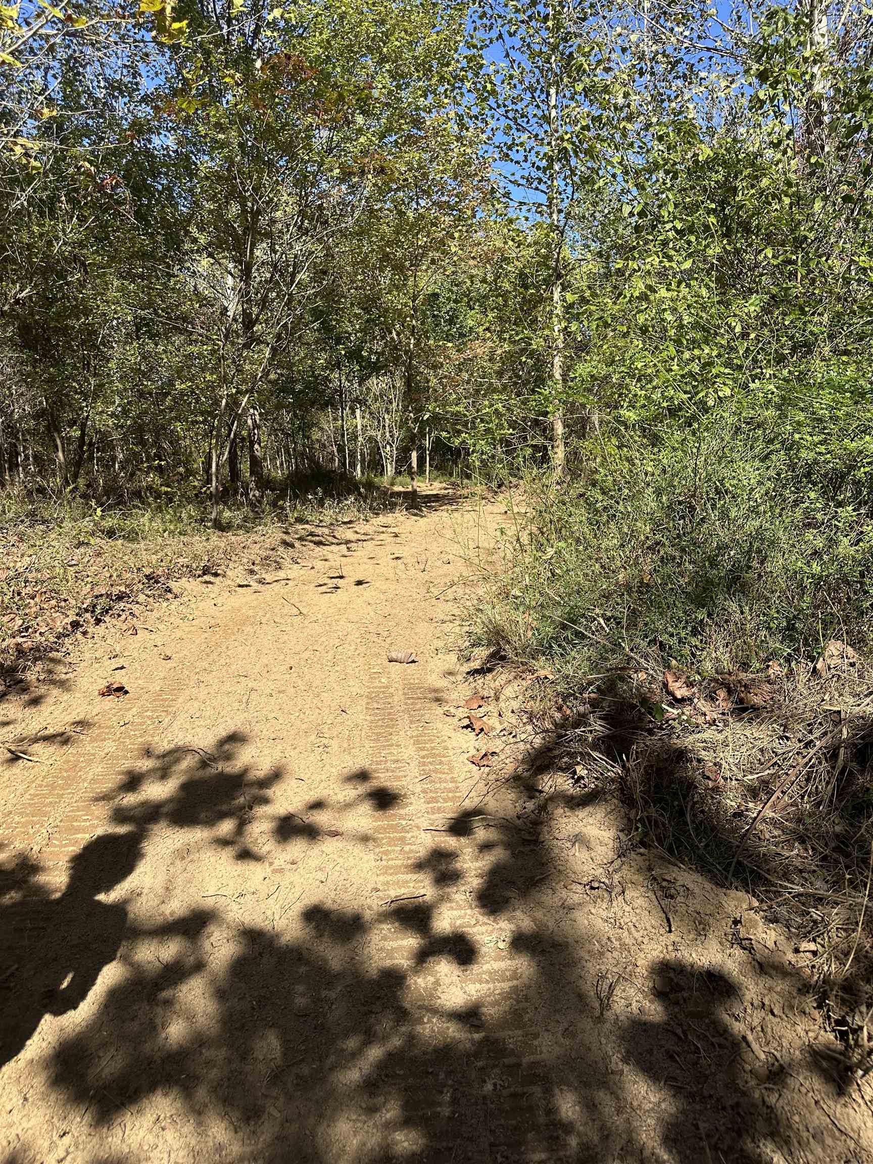 11301 Highway 231, Utica, Kentucky 42376, ,Land,For Sale,Highway 231,93310