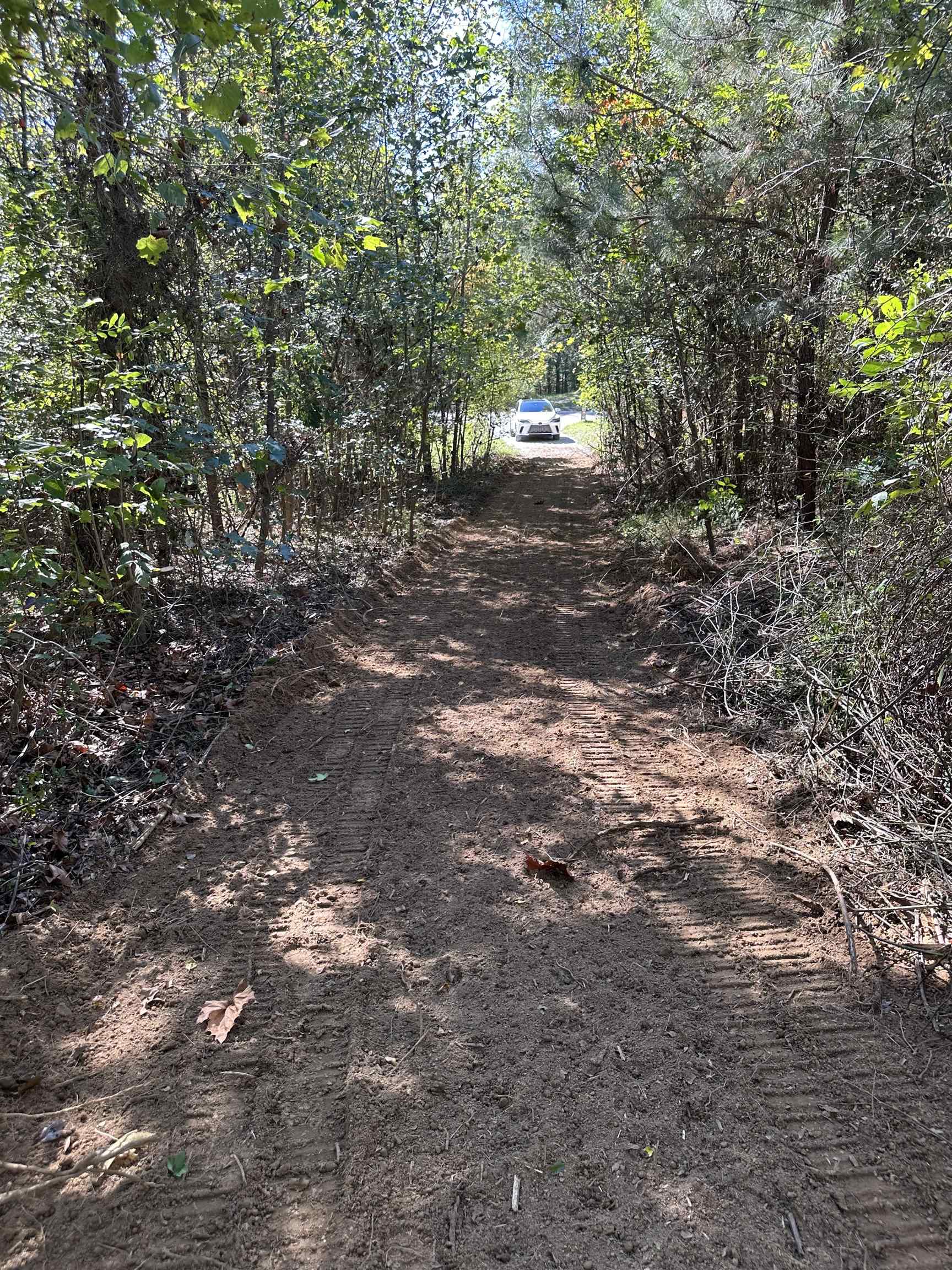 11301 Highway 231, Utica, Kentucky 42376, ,Land,For Sale,Highway 231,93310