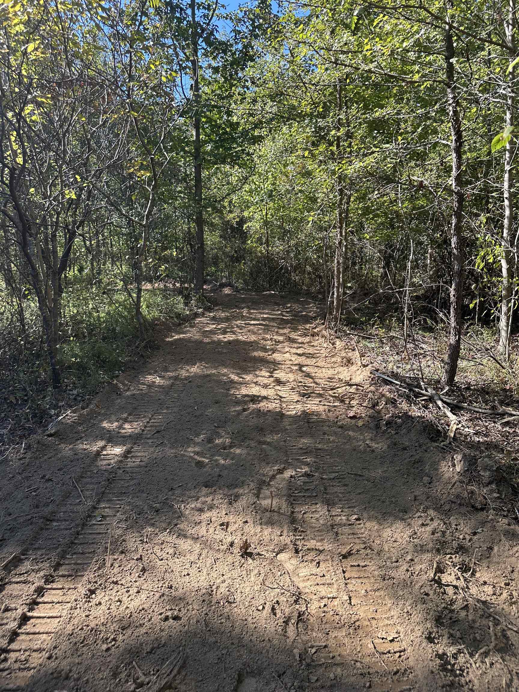 11301 Highway 231, Utica, Kentucky 42376, ,Land,For Sale,Highway 231,93310