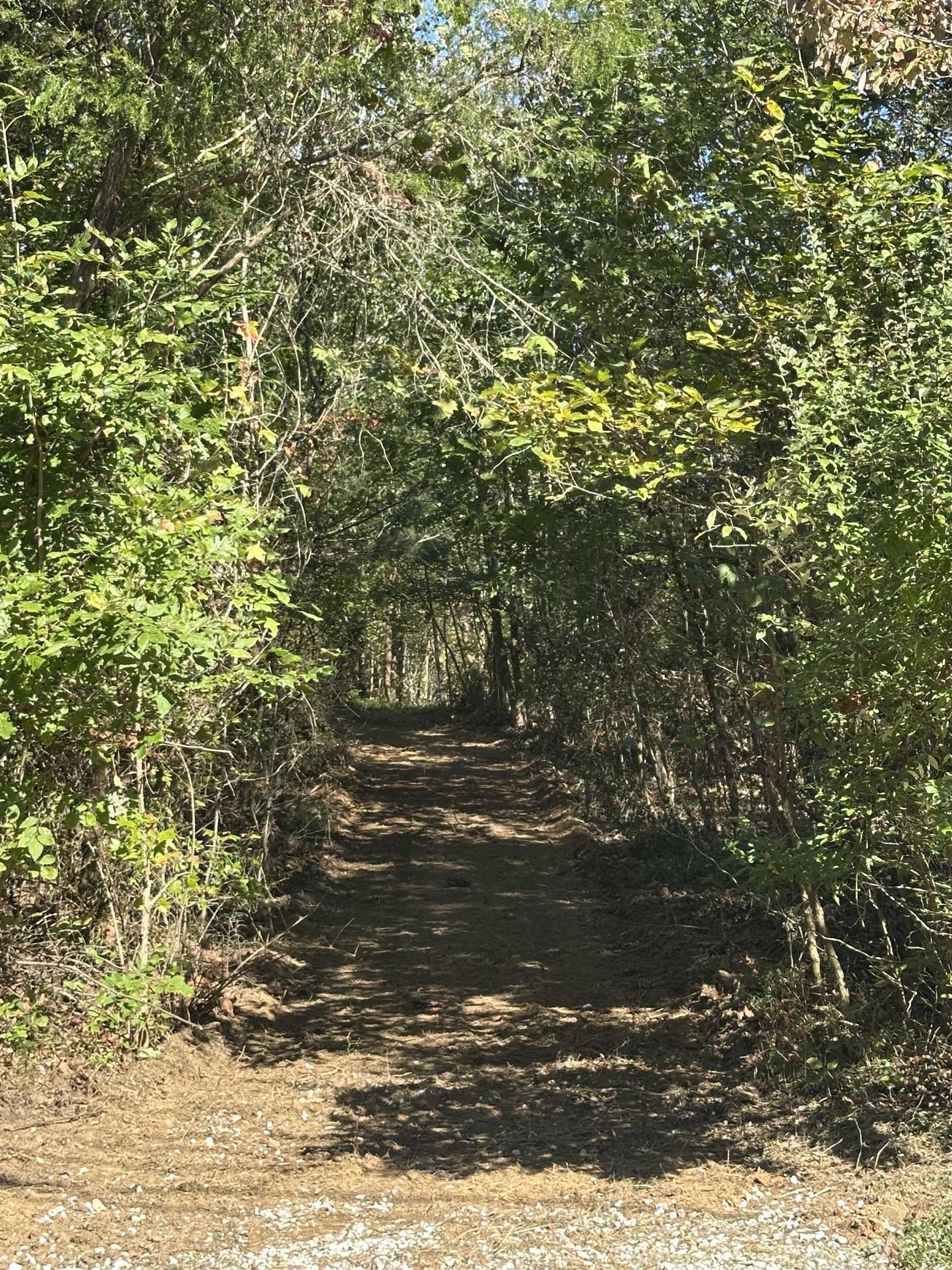 11301 Highway 231, Utica, Kentucky 42376, ,Land,For Sale,Highway 231,93310