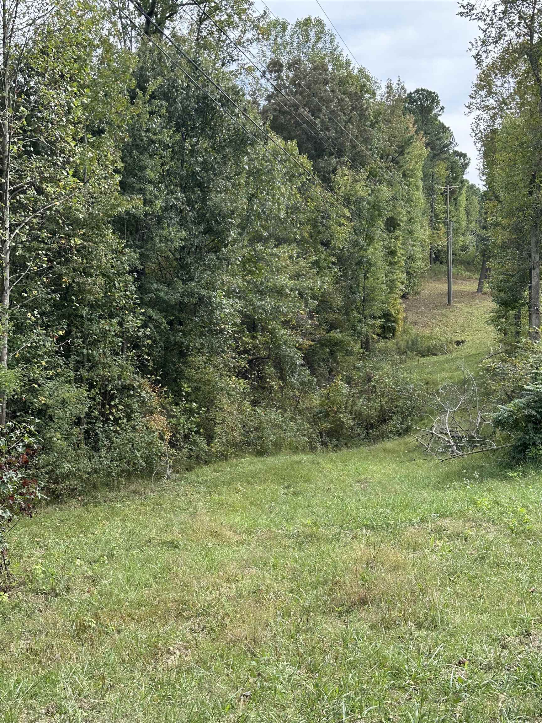 11301 Highway 231, Utica, Kentucky 42376, ,Land,For Sale,Highway 231,93310