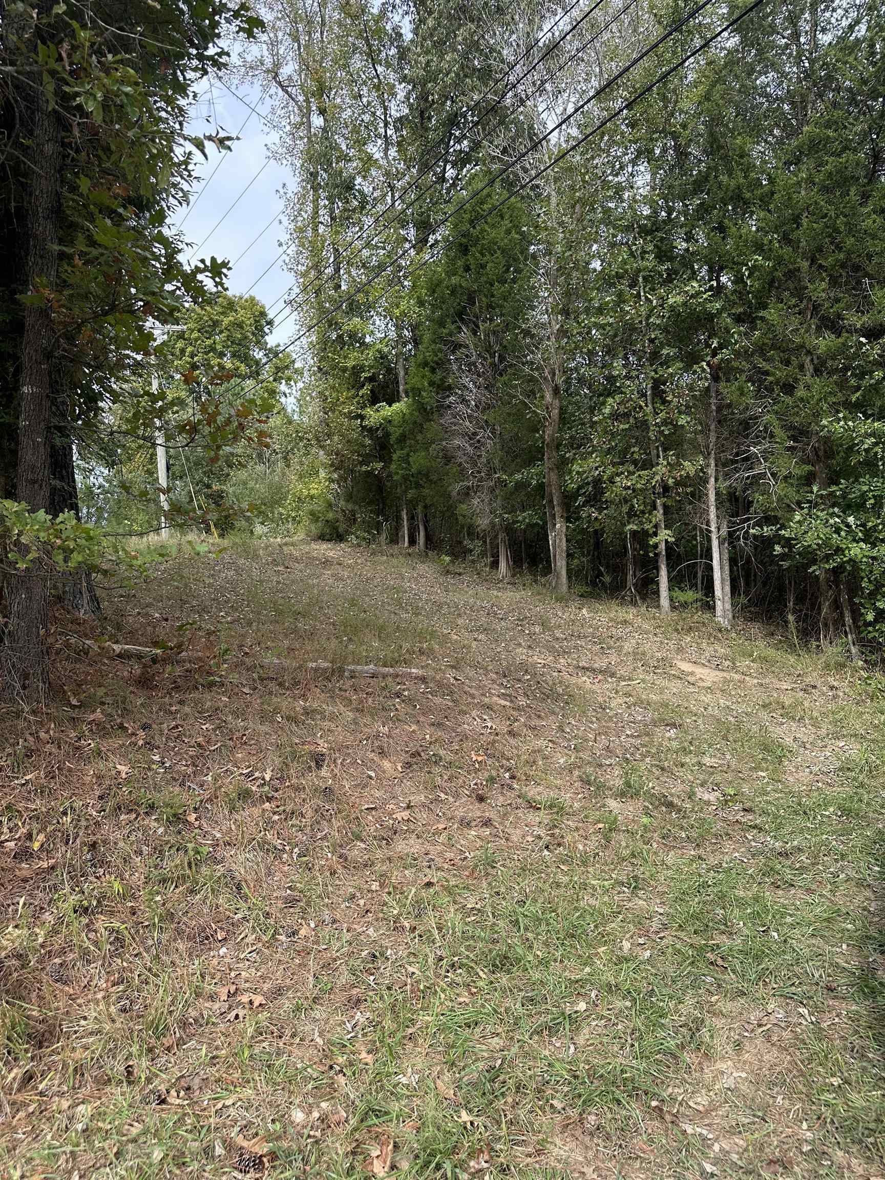 11301 Highway 231, Utica, Kentucky 42376, ,Land,For Sale,Highway 231,93310