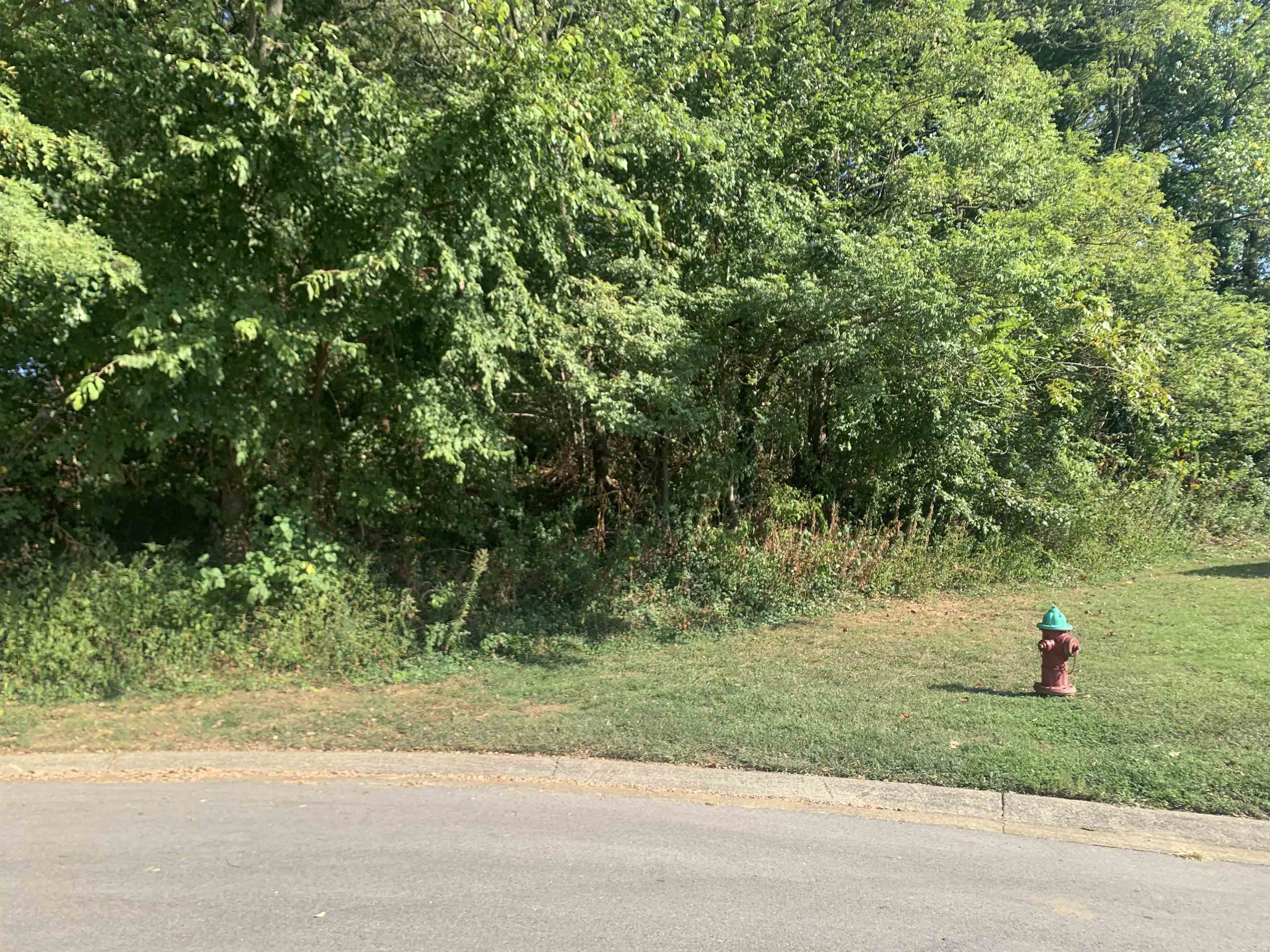 5438 Ridge Point Ct., Owensboro, Kentucky 42301, ,Land,For Sale,Ridge Point Ct.,93417