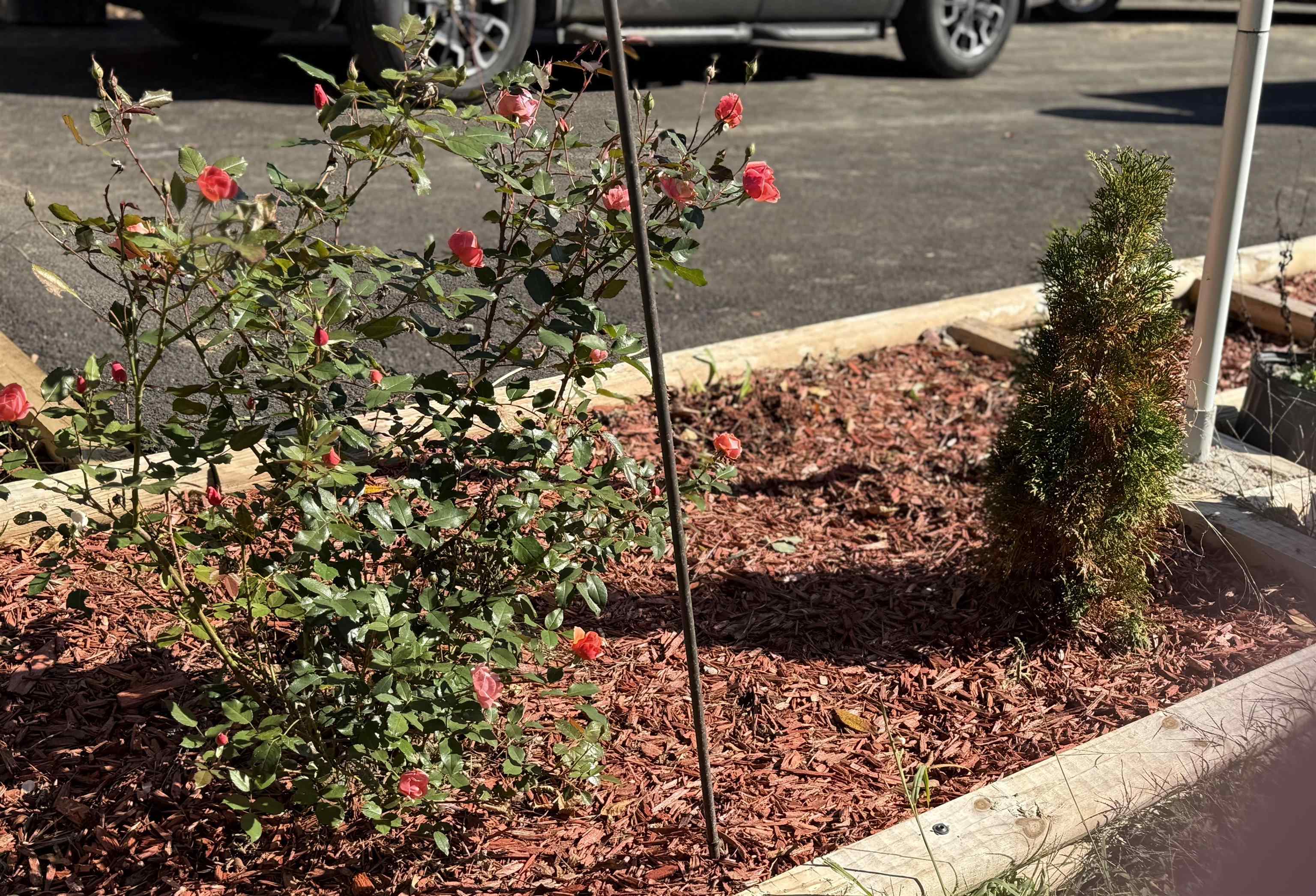 3180 Old Halls Creek Road, Beaver Dam, Kentucky 42320, 2 Bedrooms Bedrooms, ,1 BathroomBathrooms,Single Family Residence,For Sale,Old Halls Creek Road,93475