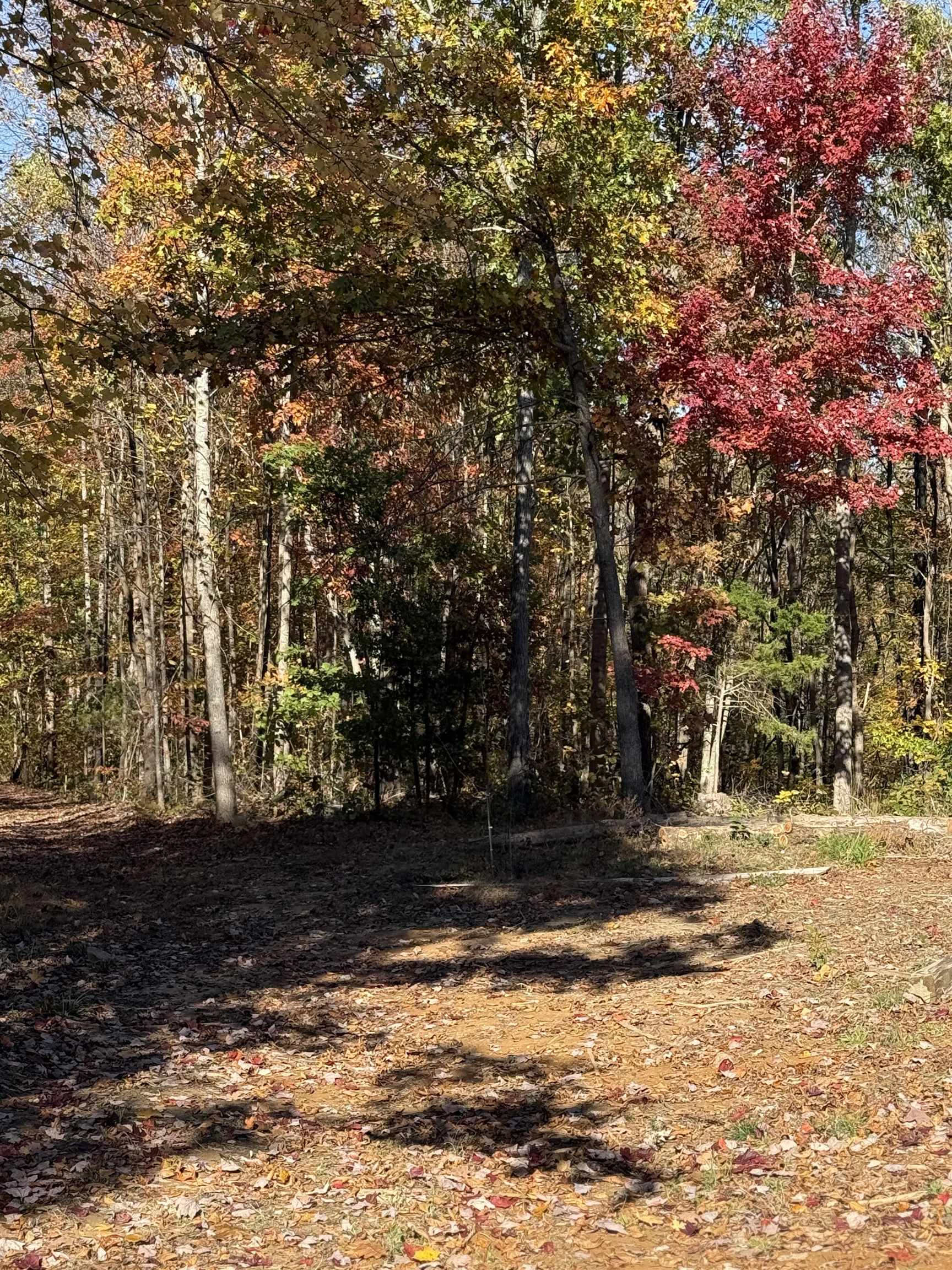 3180 Old Halls Creek Road, Beaver Dam, Kentucky 42320, 2 Bedrooms Bedrooms, ,1 BathroomBathrooms,Single Family Residence,For Sale,Old Halls Creek Road,93475