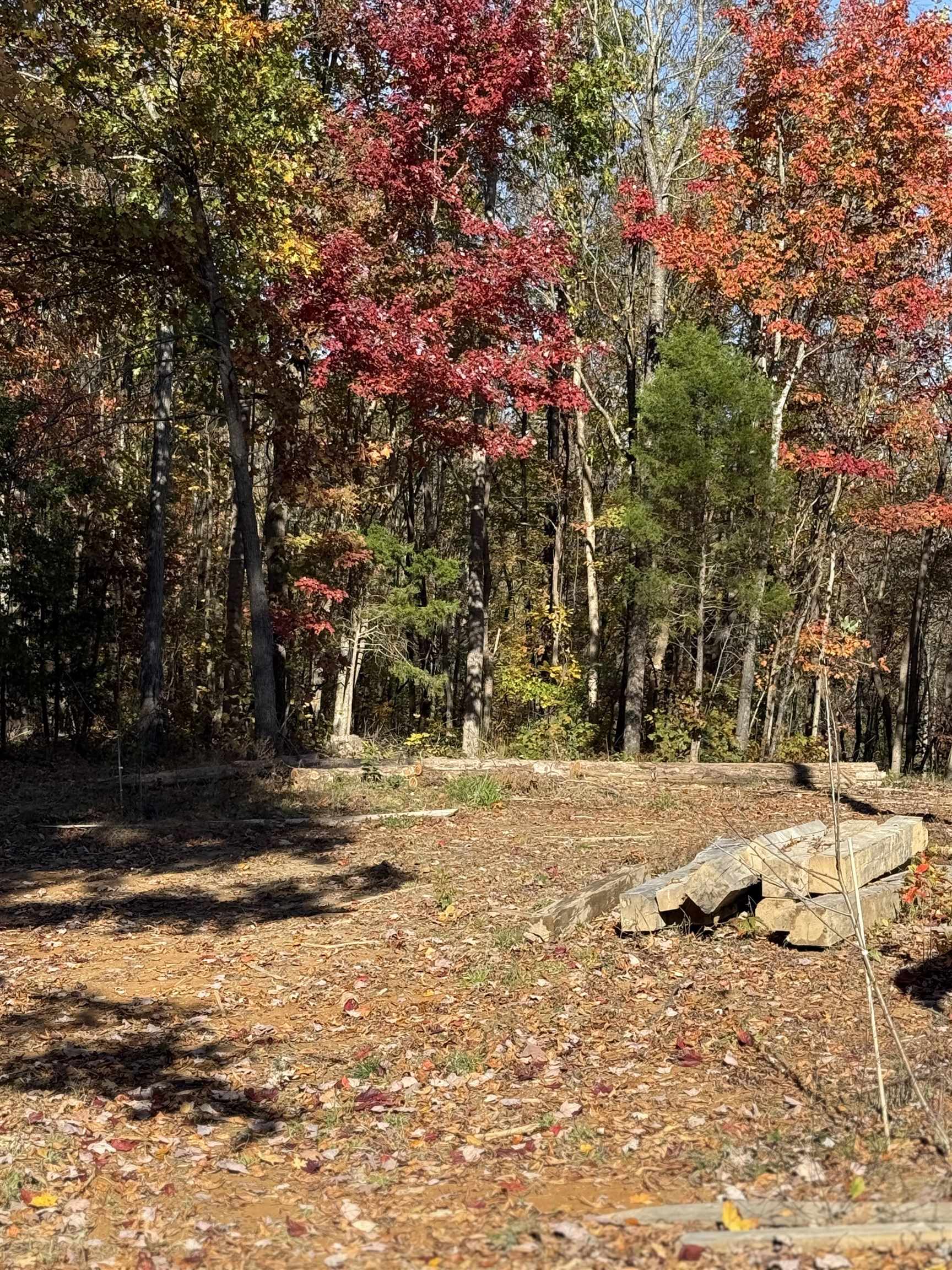 3180 Old Halls Creek Road, Beaver Dam, Kentucky 42320, 2 Bedrooms Bedrooms, ,1 BathroomBathrooms,Single Family Residence,For Sale,Old Halls Creek Road,93475