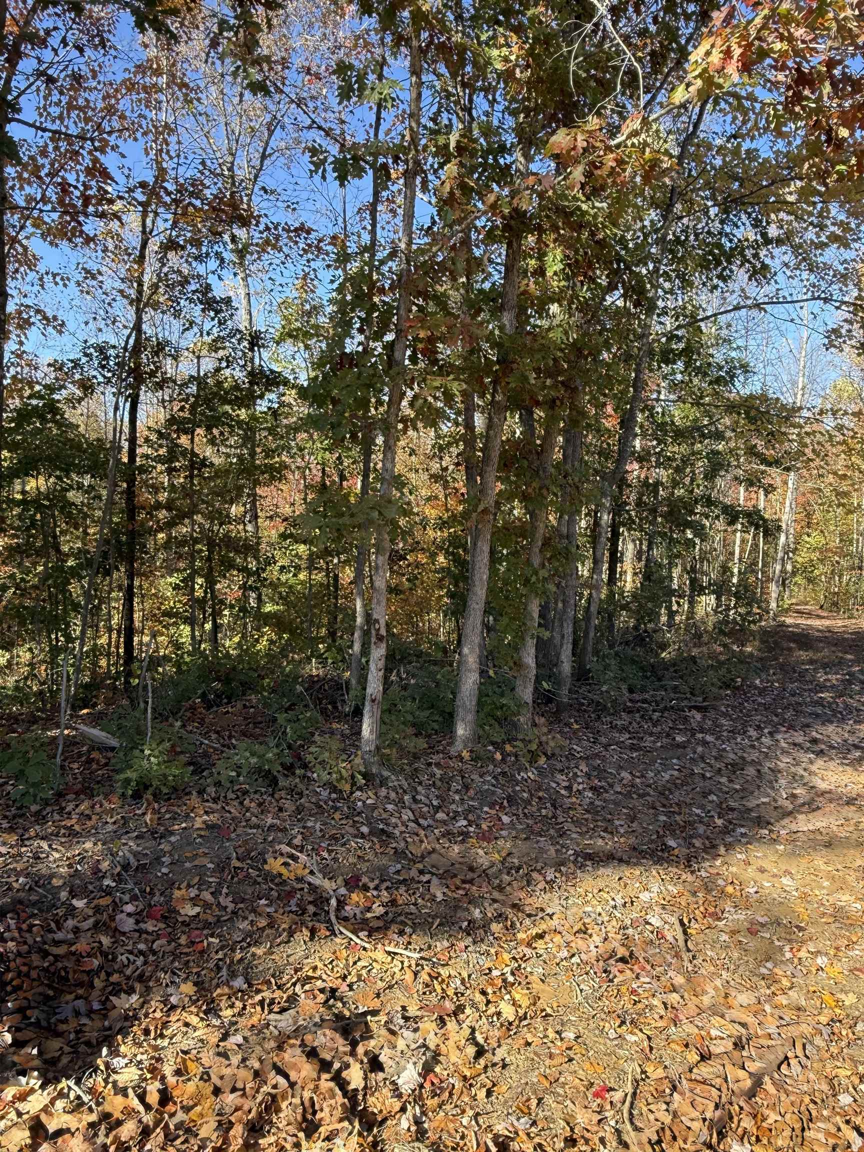 3180 Old Halls Creek Road, Beaver Dam, Kentucky 42320, 2 Bedrooms Bedrooms, ,1 BathroomBathrooms,Single Family Residence,For Sale,Old Halls Creek Road,93475