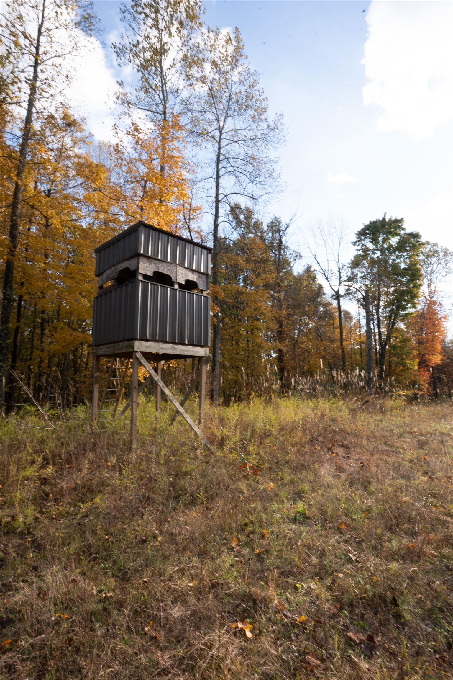 0 Askins Road, Fordsville, Kentucky 42343, ,Land,For Sale,Askins Road,93489