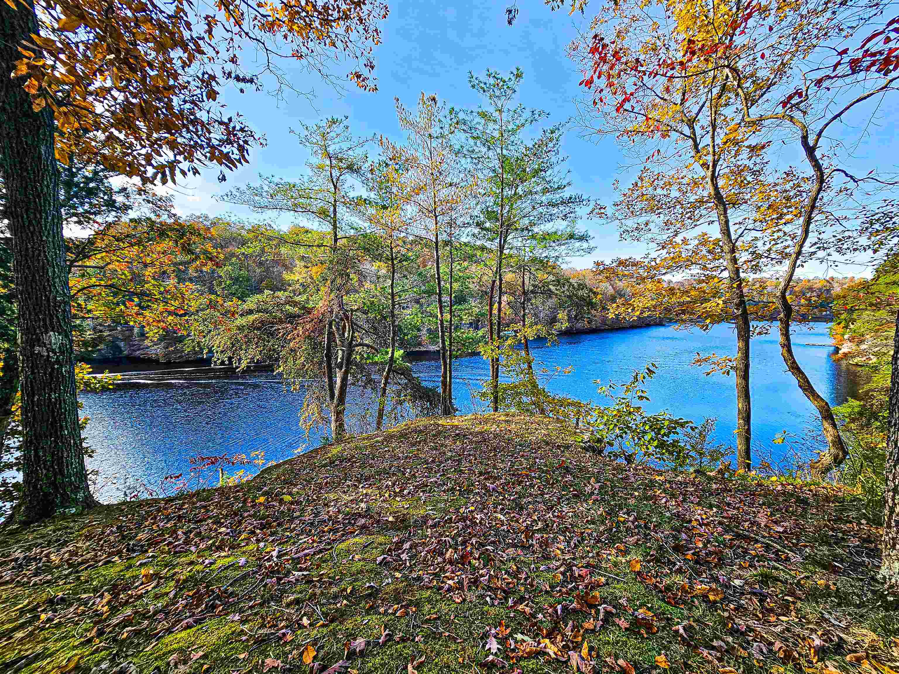 106 Joys Way, Lewisburg, Kentucky 42256, 4 Bedrooms Bedrooms, ,3 BathroomsBathrooms,Single Family Residence,For Sale,Joys Way,93505