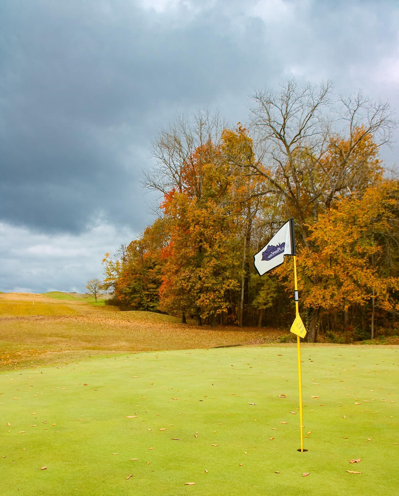 1400 Kingsbrooke, Owensboro, Kentucky 42303, 3 Bedrooms Bedrooms, ,2 BathroomsBathrooms,Single Family Residence,For Sale,Kingsbrooke,93506