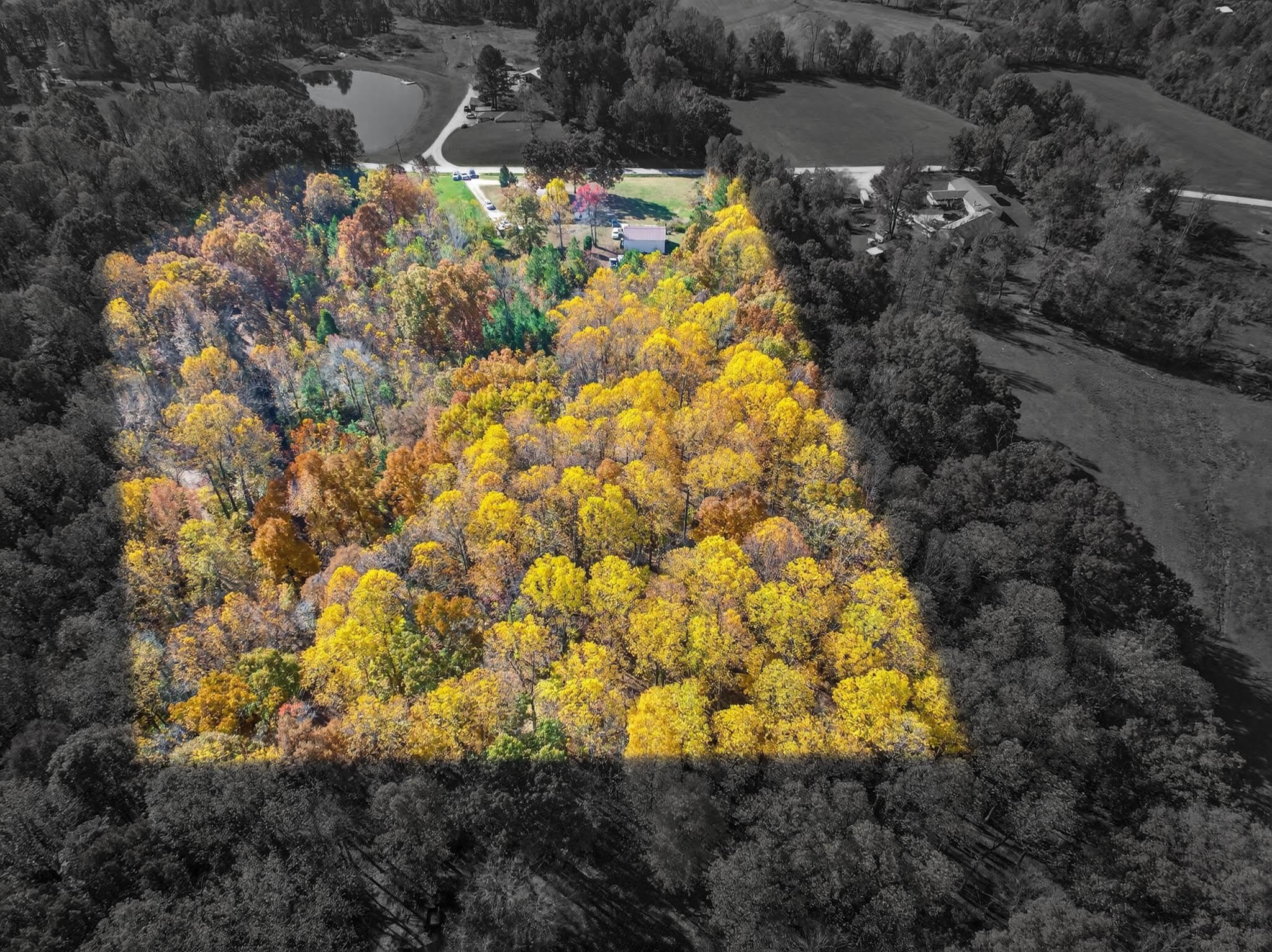 480 Middle Patesville Rd, Hawesville, Kentucky 42348, 3 Bedrooms Bedrooms, ,2 BathroomsBathrooms,Manufactured Home,For Sale,Middle Patesville Rd,93514