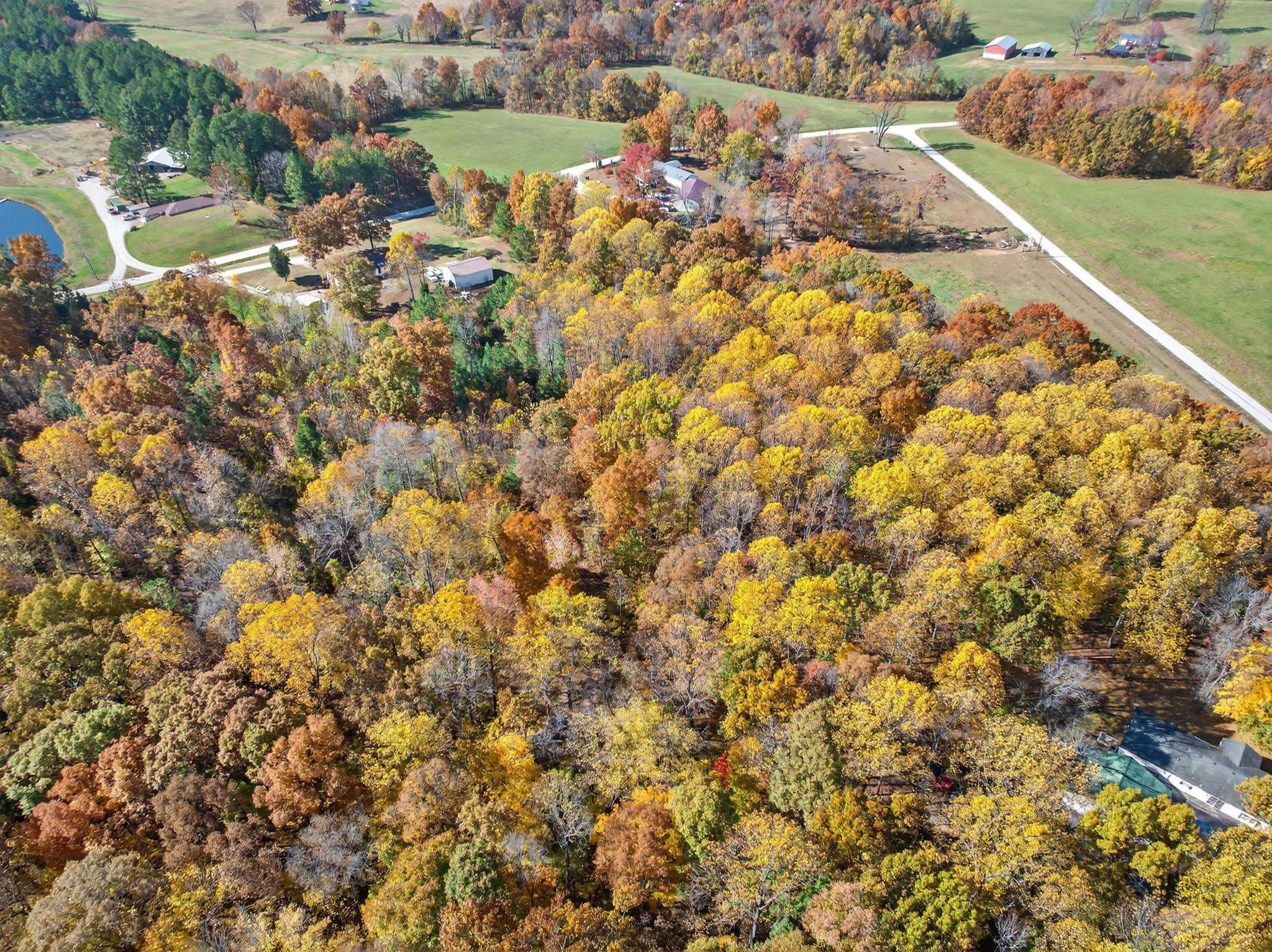 480 Middle Patesville Rd, Hawesville, Kentucky 42348, 3 Bedrooms Bedrooms, ,2 BathroomsBathrooms,Manufactured Home,For Sale,Middle Patesville Rd,93514