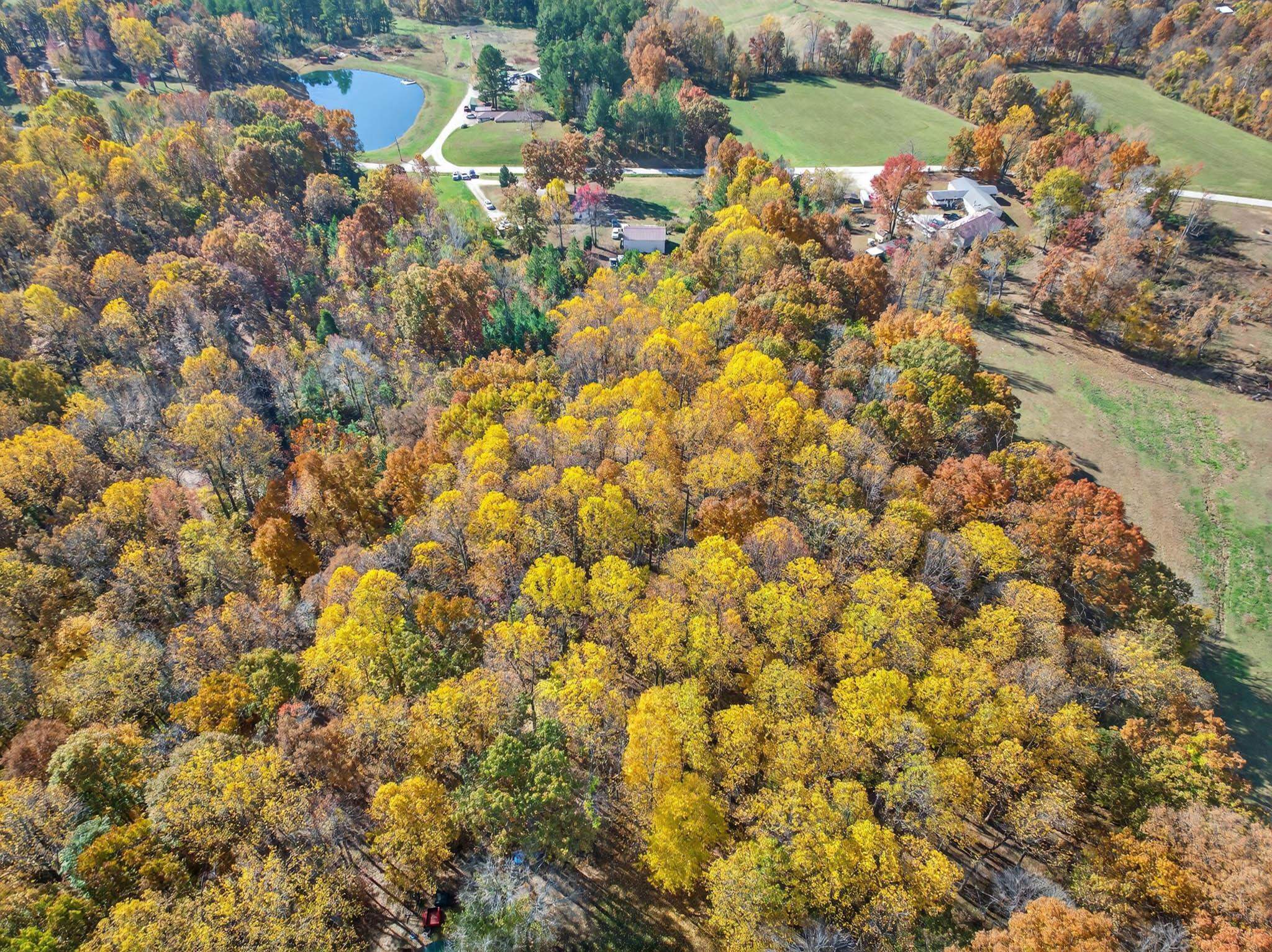 480 Middle Patesville Rd, Hawesville, Kentucky 42348, 3 Bedrooms Bedrooms, ,2 BathroomsBathrooms,Manufactured Home,For Sale,Middle Patesville Rd,93514