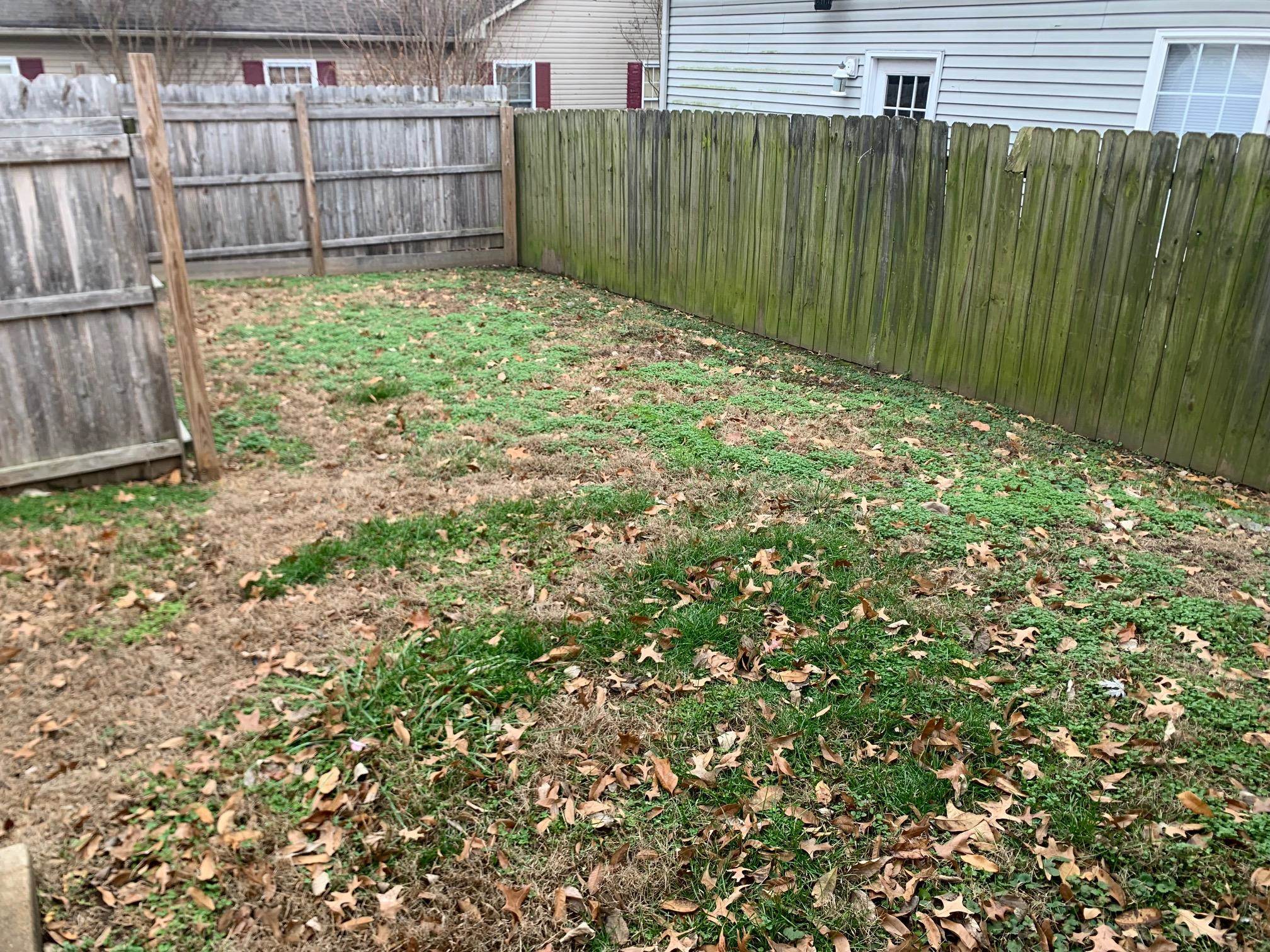 629 Clay St, Owensboro, Kentucky 42303, 2 Bedrooms Bedrooms, ,1 BathroomBathrooms,Single Family Residence,For Sale,Clay St,93825