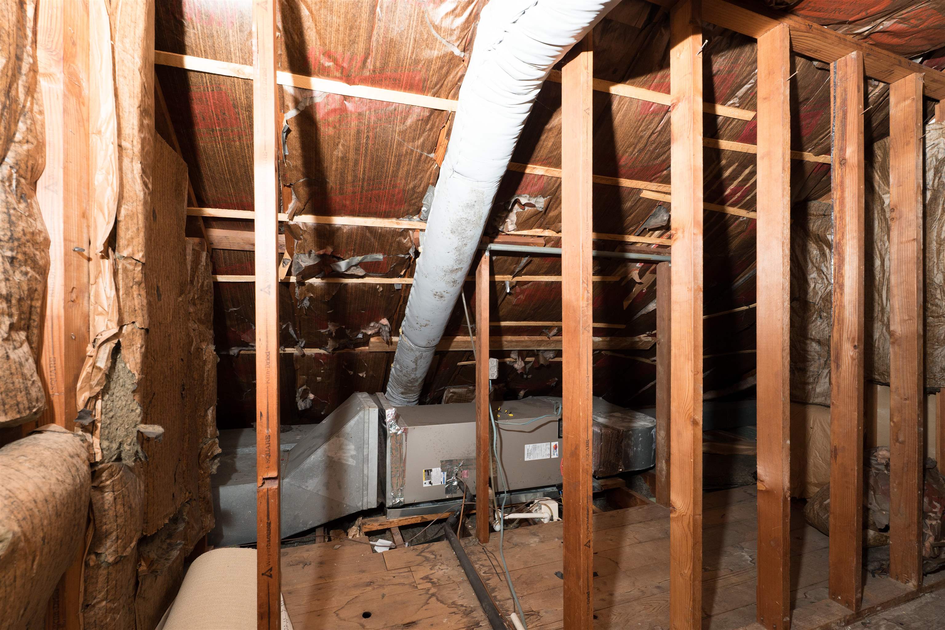 2931 Frederica Street, Owensboro, Kentucky 42303, 4 Bedrooms Bedrooms, ,2 BathroomsBathrooms,Single Family Residence,For Sale,Frederica Street,93842