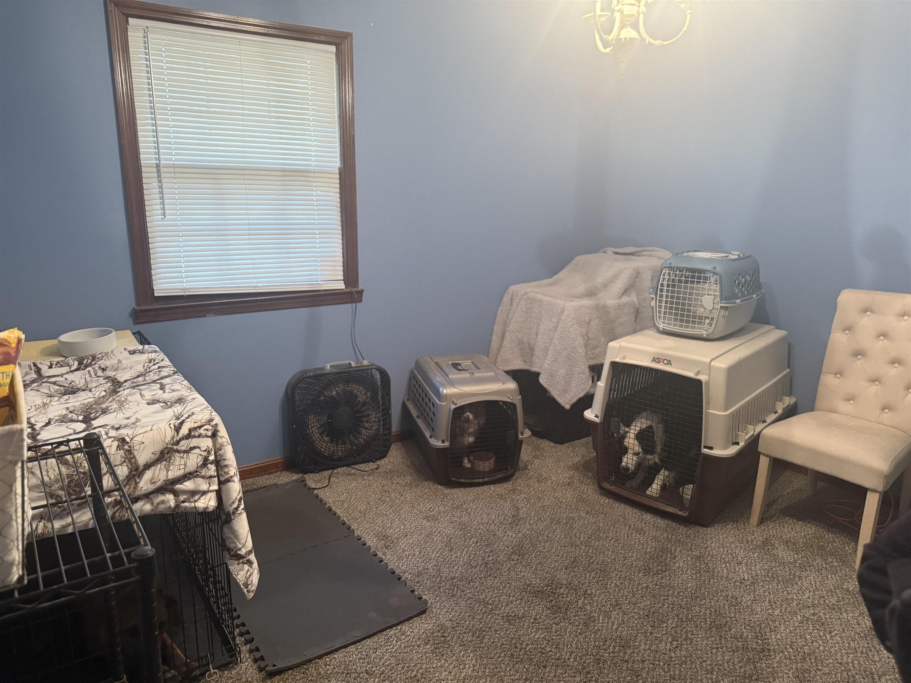 2732 Browns Drive, Henderson, Kentucky 42420, 3 Bedrooms Bedrooms, ,1 BathroomBathrooms,Ranch,For Sale,Browns Drive,93862