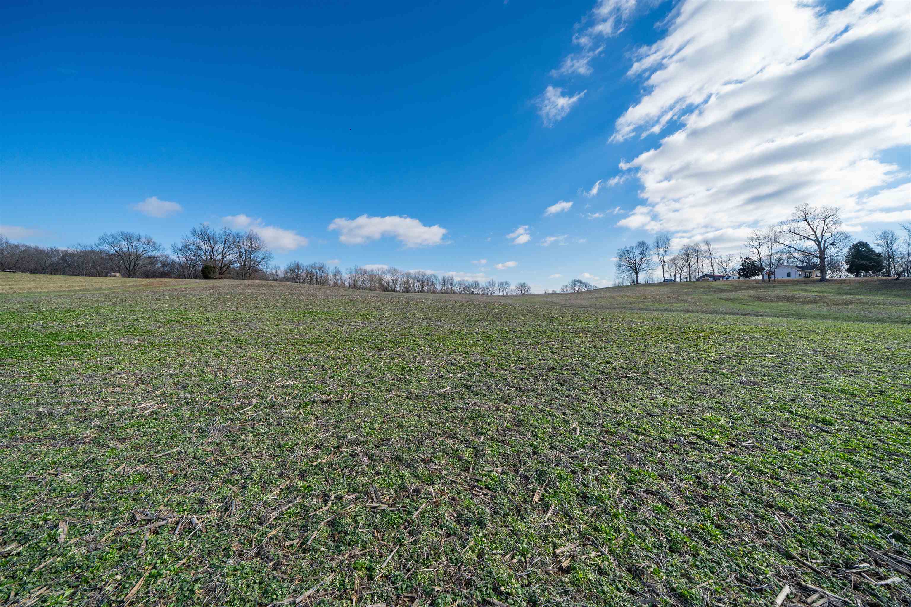 9705 Parks Road, Utica, Kentucky 42376, ,Land,For Sale,Parks Road,93908