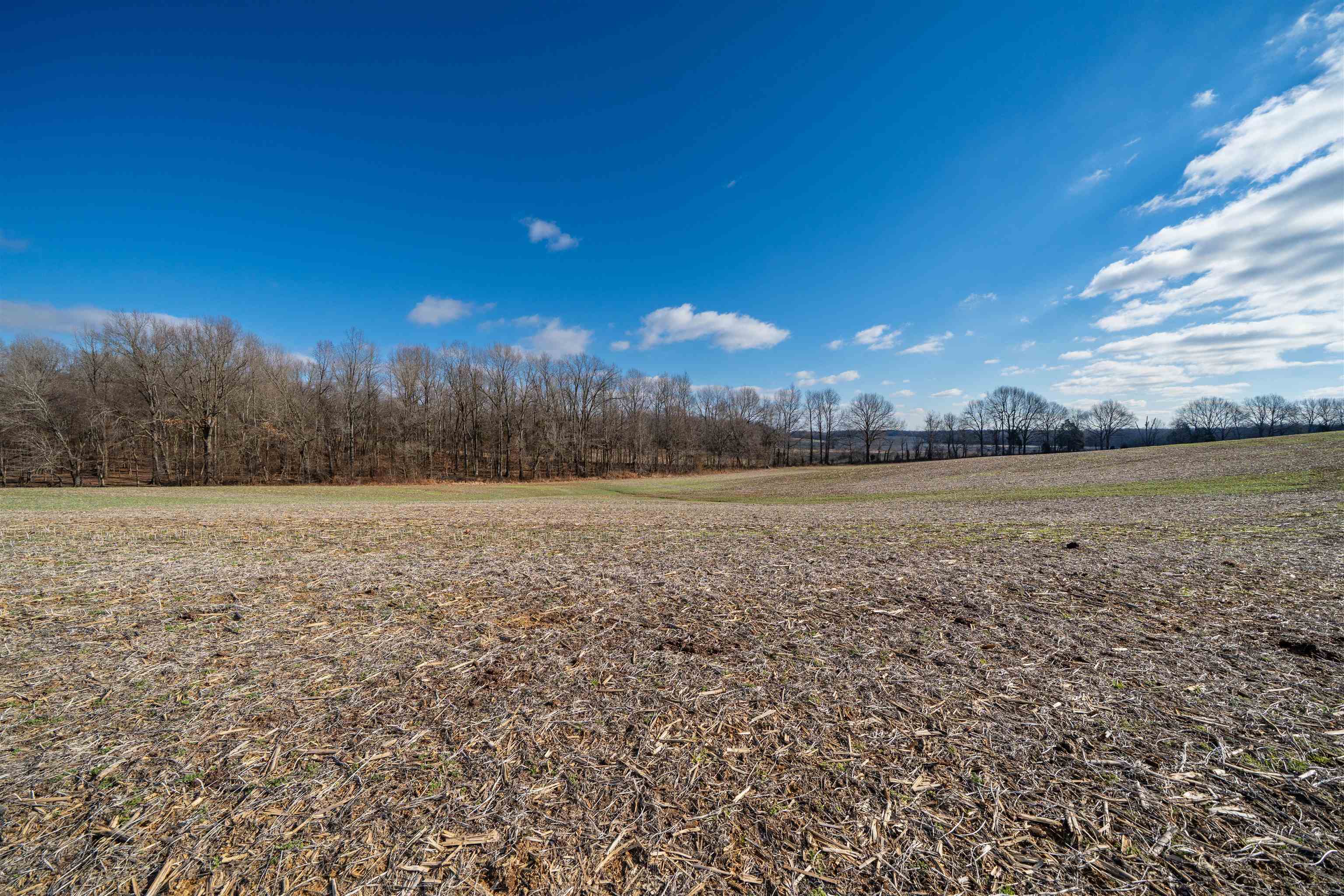 9705 Parks Road, Utica, Kentucky 42376, ,Land,For Sale,Parks Road,93908