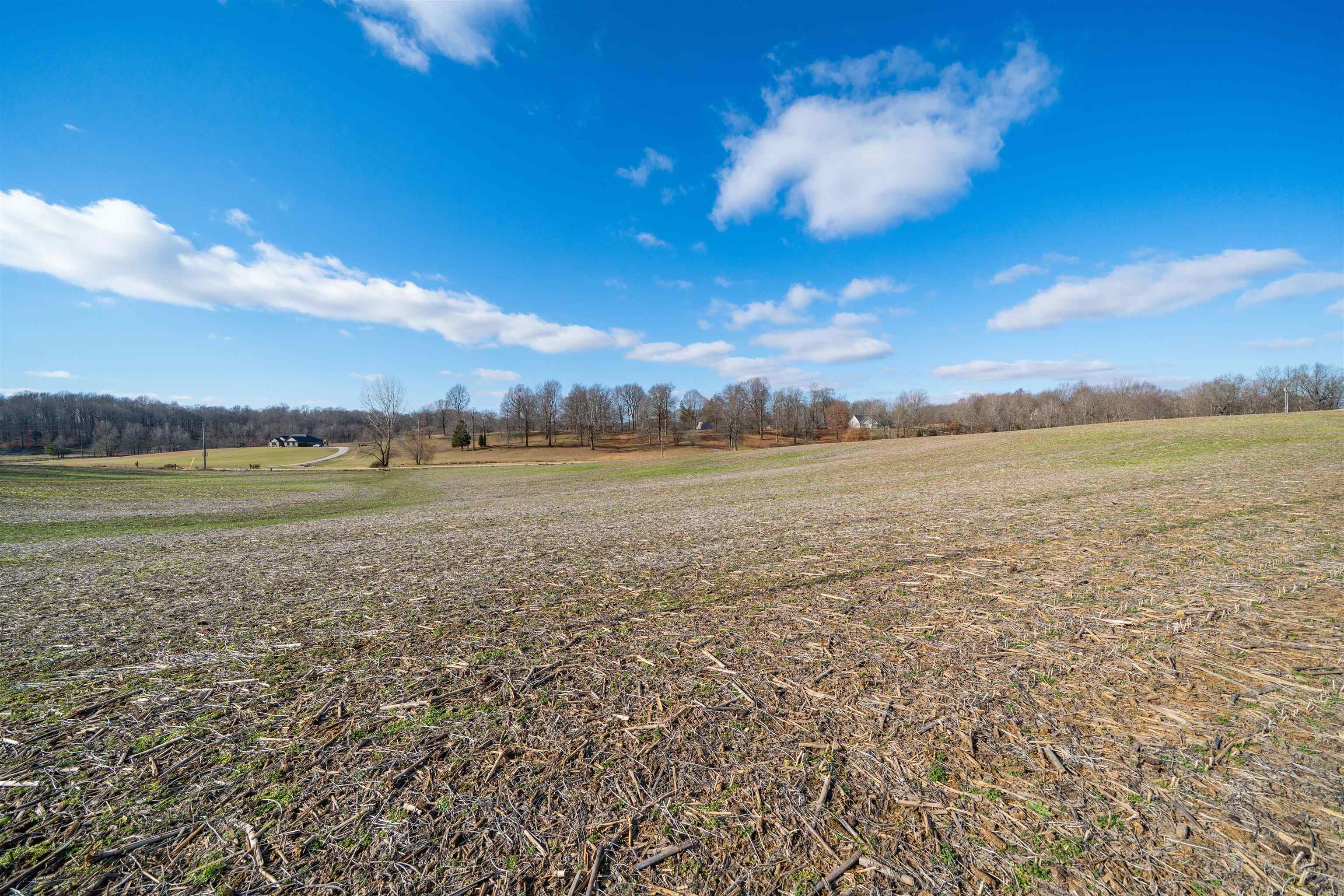9705 Parks Road, Utica, Kentucky 42376, ,Land,For Sale,Parks Road,93908