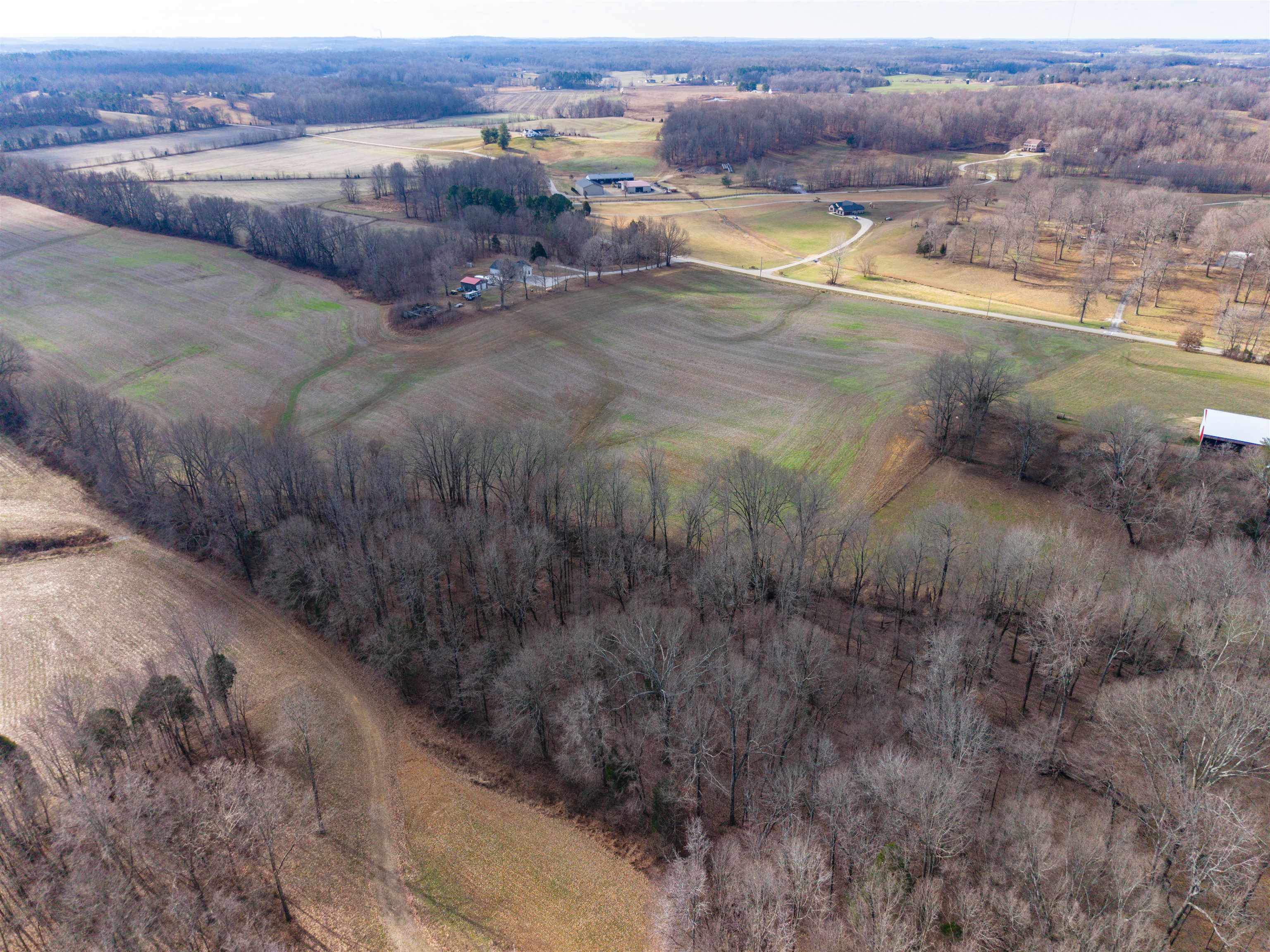 9705 Parks Road, Utica, Kentucky 42376, ,Land,For Sale,Parks Road,93908