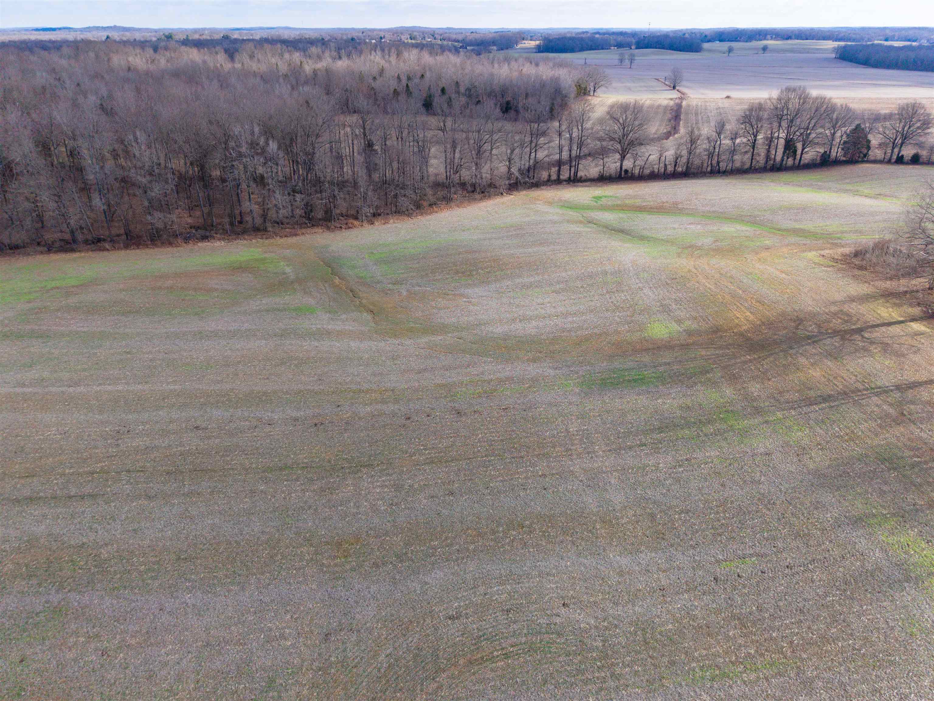 9705 Parks Road, Utica, Kentucky 42376, ,Land,For Sale,Parks Road,93908