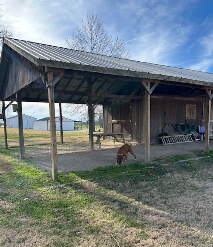 6678 Hwy 231, Utica, Kentucky 42376-9544, 3 Bedrooms Bedrooms, ,2 BathroomsBathrooms,Single Family Residence,For Sale,Hwy 231,93933