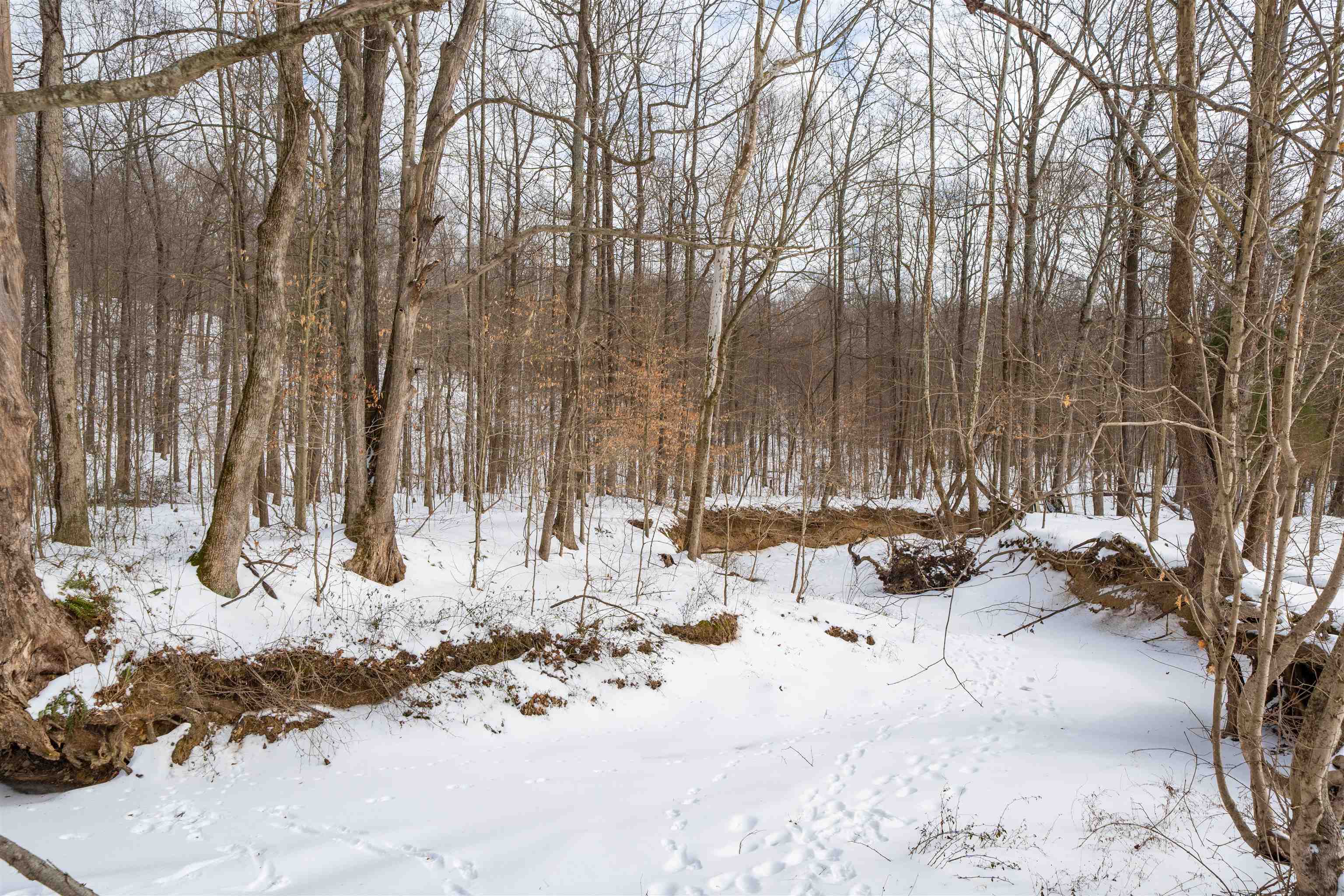 1026 TOMS BRANCH RD, Hartford, Kentucky 42347, 3 Bedrooms Bedrooms, ,2 BathroomsBathrooms,Single Family Residence,For Sale,TOMS BRANCH RD,94028