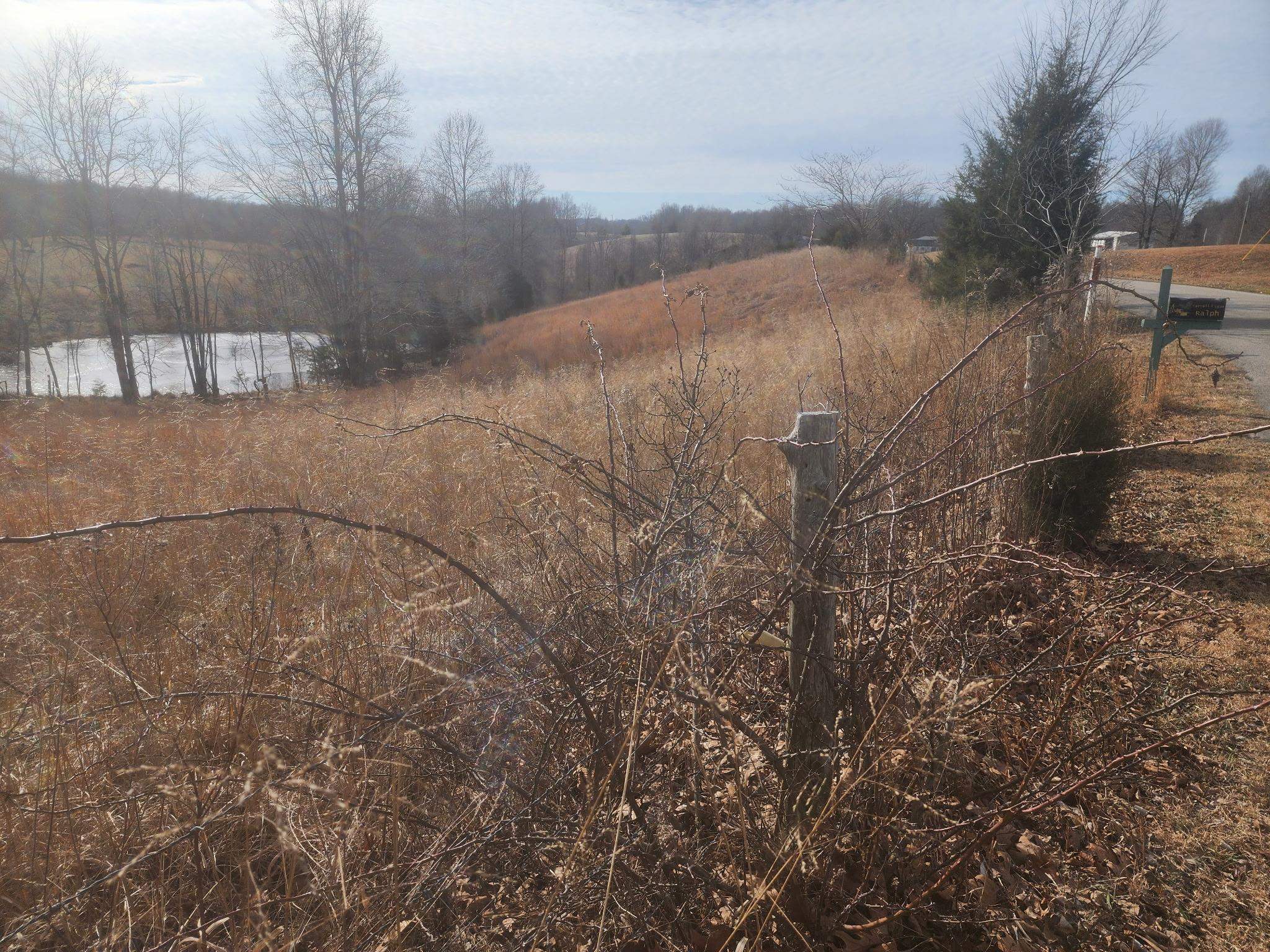 Tract 2 Vine Hill Road, Beaver Dam, Kentucky 42320, ,Land,For Sale,Vine Hill Road,94096