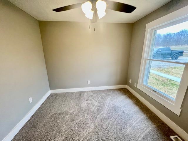 615 Dolph Carlton, Dawson Springs, Kentucky 42408, 3 Bedrooms Bedrooms, ,2 BathroomsBathrooms,Single Family Residence,For Sale,Dolph Carlton,94110