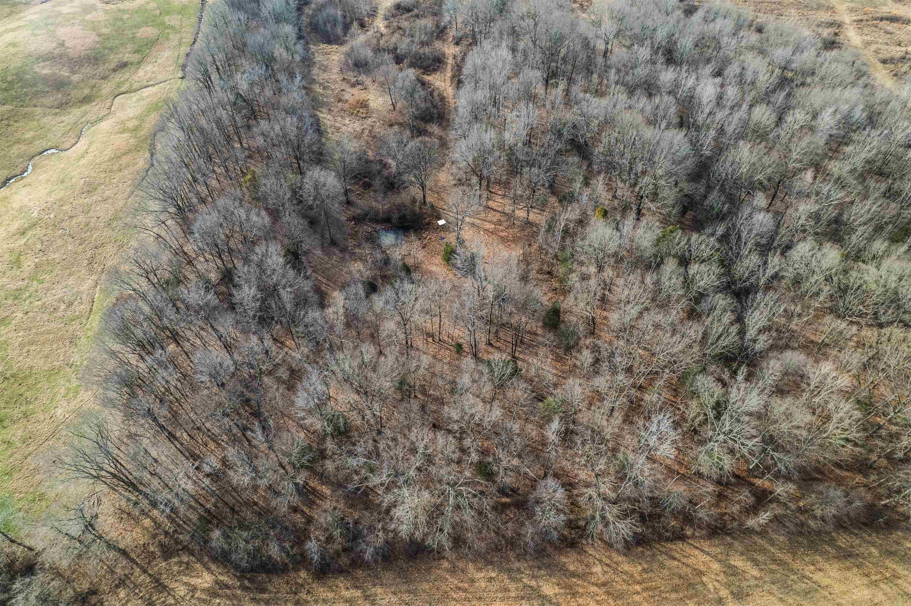 1875 Harmons Ferry Rd, Utica, Kentucky 42376, ,Land,For Sale,Harmons Ferry Rd,94161