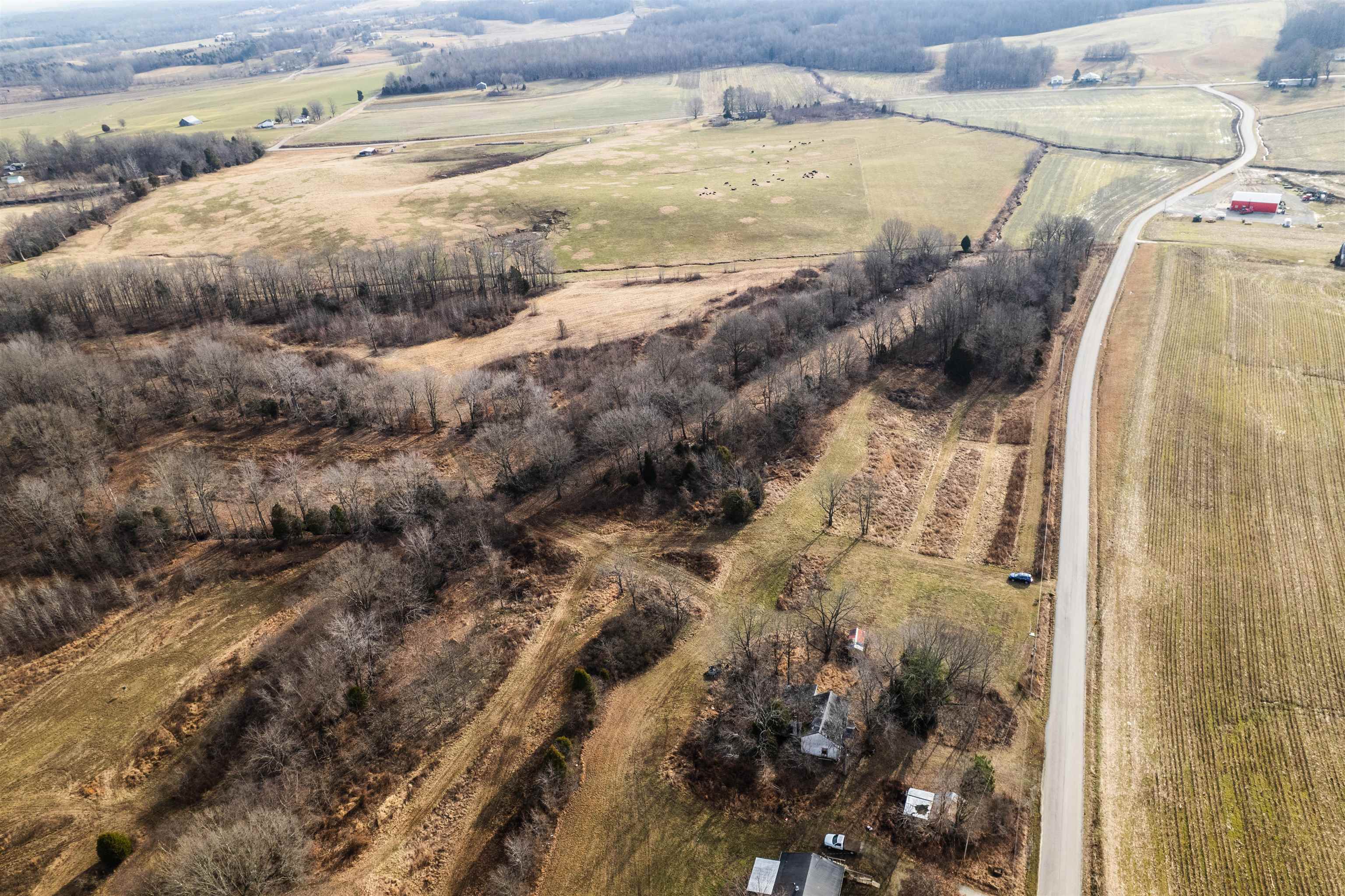 1875 Harmons Ferry Rd, Utica, Kentucky 42376, ,Land,For Sale,Harmons Ferry Rd,94161