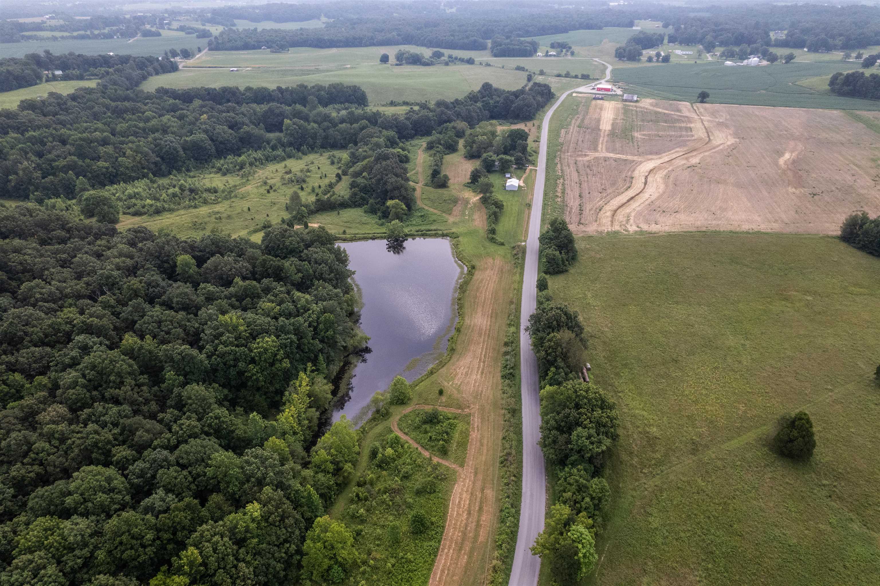 1875 Harmons Ferry Rd, Utica, Kentucky 42376, ,Land,For Sale,Harmons Ferry Rd,94161