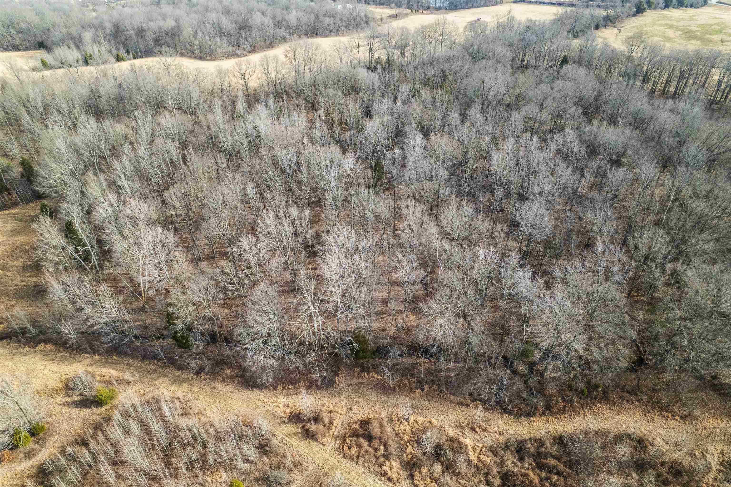 1875 Harmons Ferry Rd, Utica, Kentucky 42376, ,Land,For Sale,Harmons Ferry Rd,94161