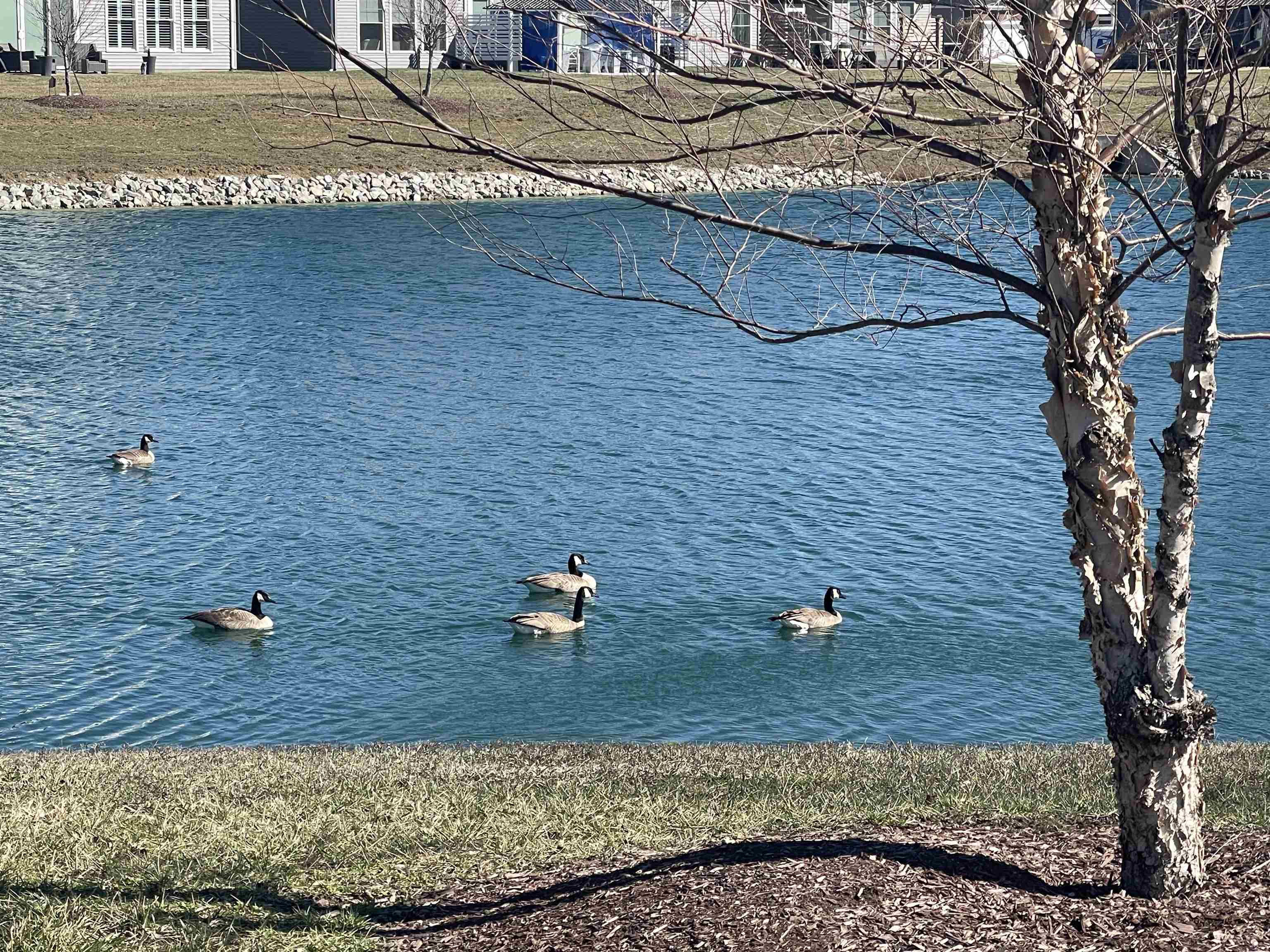 2442 Watson Circle, Owensboro, Kentucky 42301, 2 Bedrooms Bedrooms, ,2 BathroomsBathrooms,Single Family Residence,For Sale,Watson Circle,94166