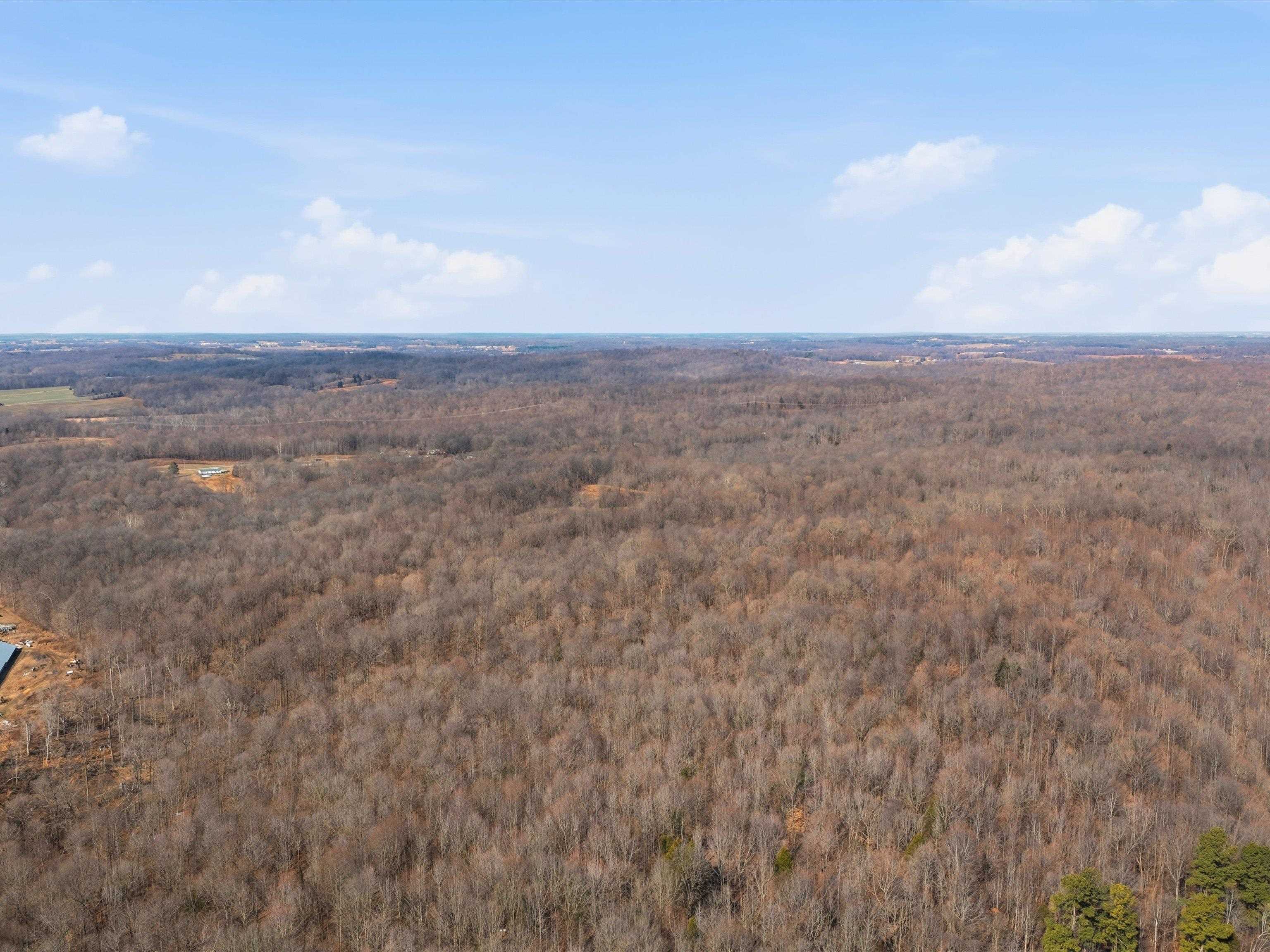 756 Johnson Lane, Livermore, Kentucky 42352, ,Land,For Sale,Johnson Lane,94179