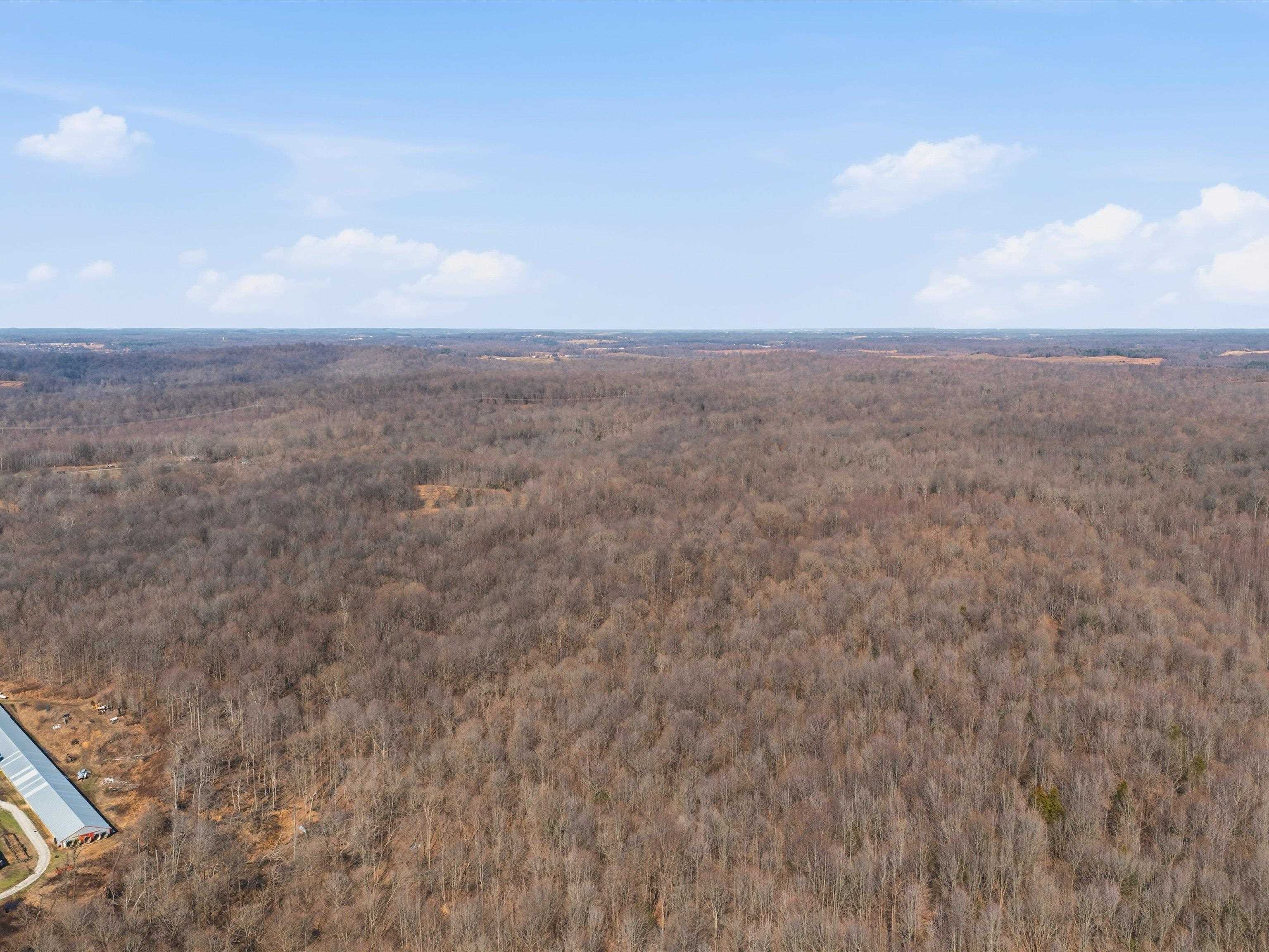 756 Johnson Lane, Livermore, Kentucky 42352, ,Land,For Sale,Johnson Lane,94179