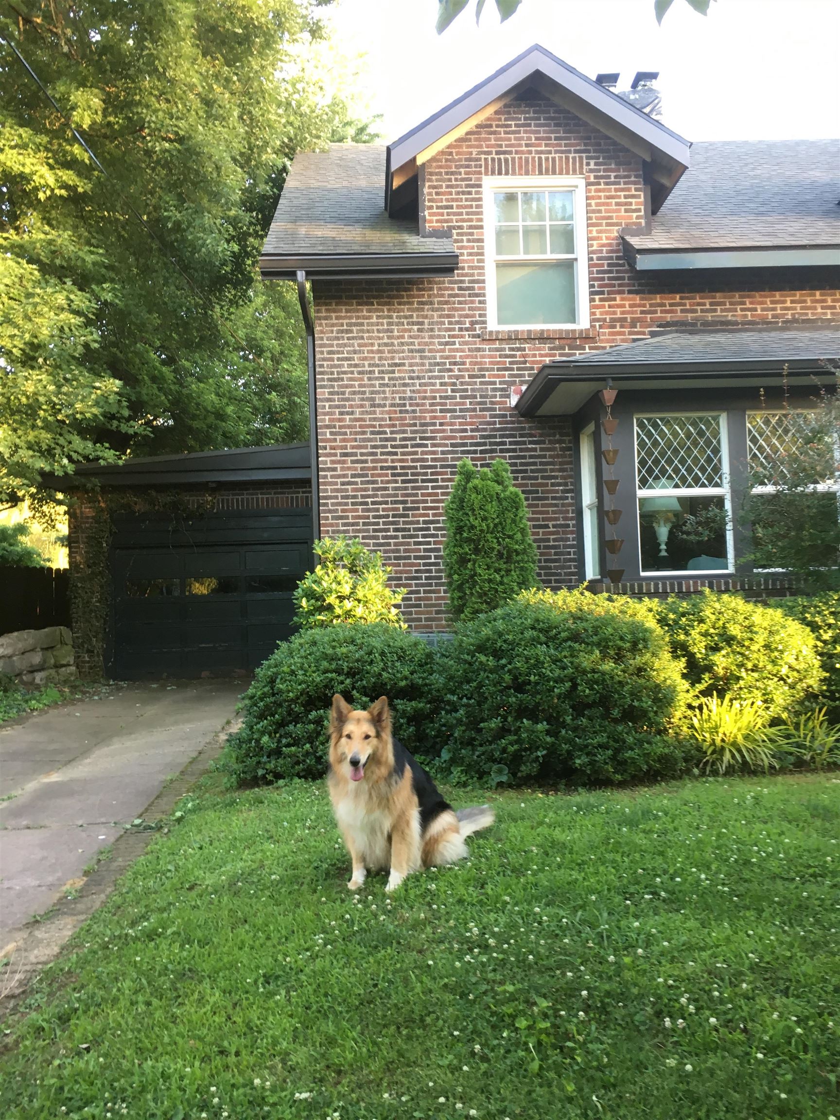 206 Phillips Court, Owensboro, Kentucky 42303, 4 Bedrooms Bedrooms, ,3 BathroomsBathrooms,Single Family Residence,For Sale,Phillips Court,94192