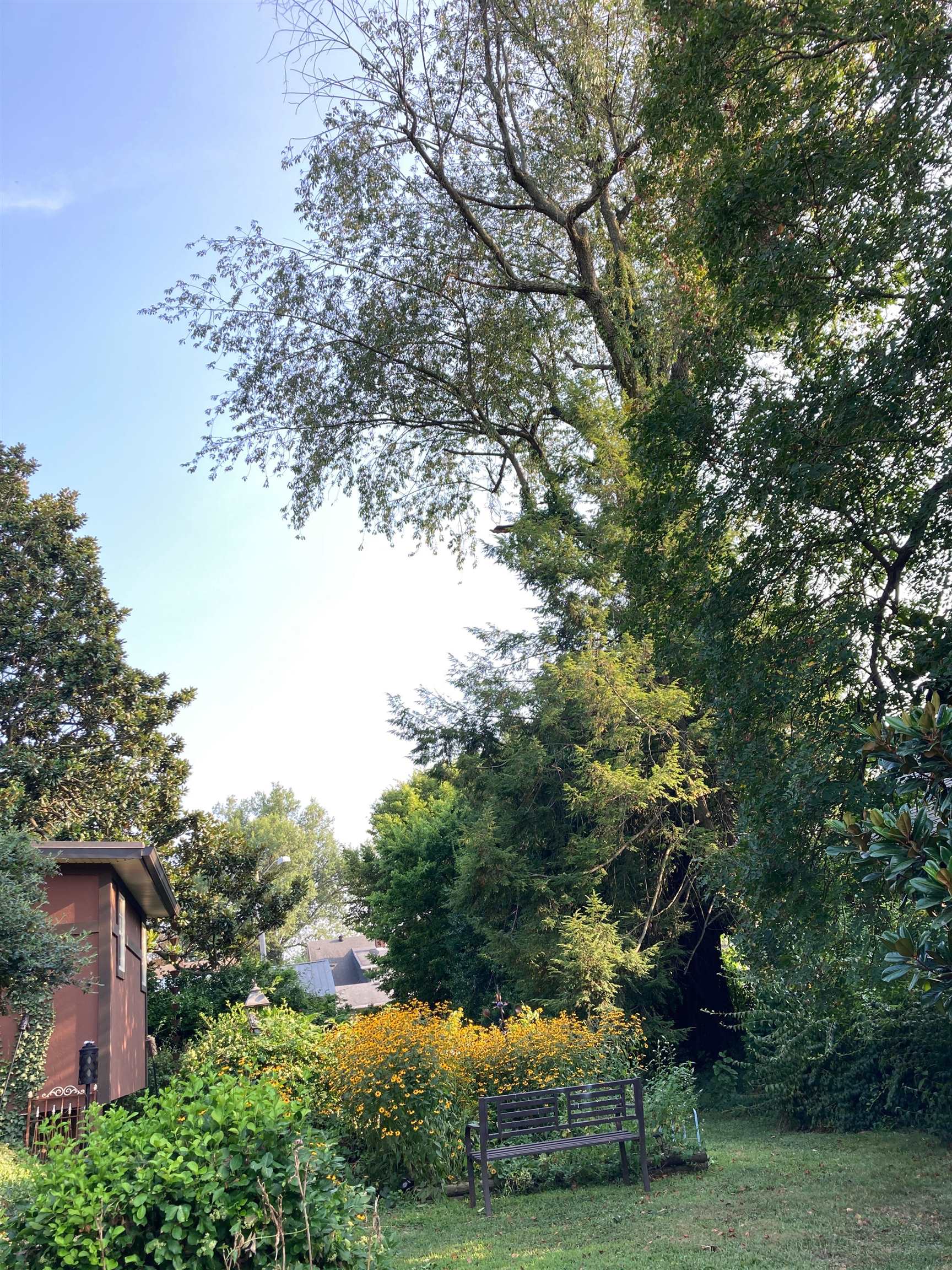 206 Phillips Court, Owensboro, Kentucky 42303, 4 Bedrooms Bedrooms, ,2 BathroomsBathrooms,Single Family Residence,For Sale,Phillips Court,94192