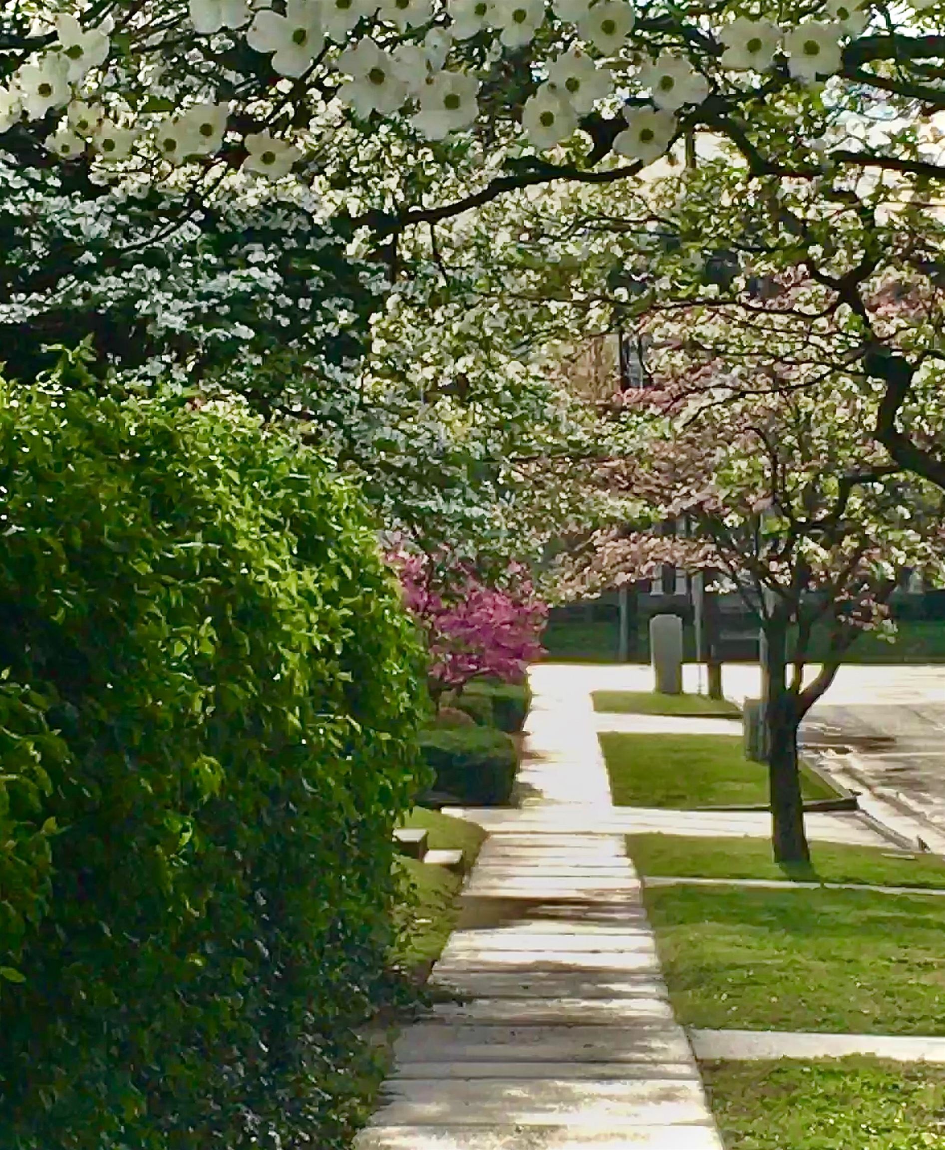 206 Phillips Court, Owensboro, Kentucky 42303, 4 Bedrooms Bedrooms, ,3 BathroomsBathrooms,Single Family Residence,For Sale,Phillips Court,94192