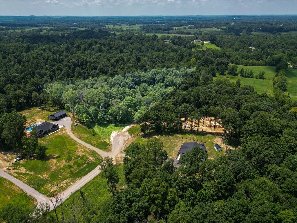 Lot 91 Odessa Dr, Utica, Kentucky 42376, ,Land,For Sale,Odessa Dr,94219