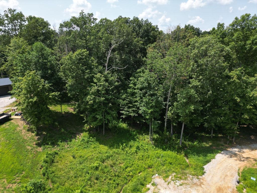 Lot 91 Odessa Dr, Utica, Kentucky 42376, ,Land,For Sale,Odessa Dr,94219