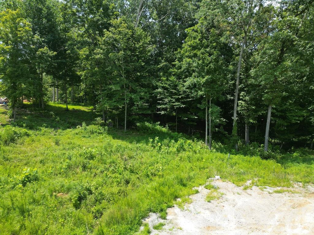 Lot 91 Odessa Dr, Utica, Kentucky 42376, ,Land,For Sale,Odessa Dr,94219