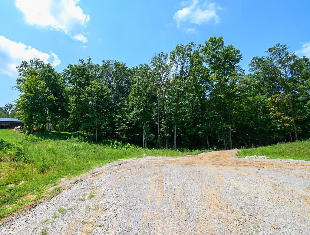 Lot 91 Odessa Dr, Utica, Kentucky 42376, ,Land,For Sale,Odessa Dr,94219